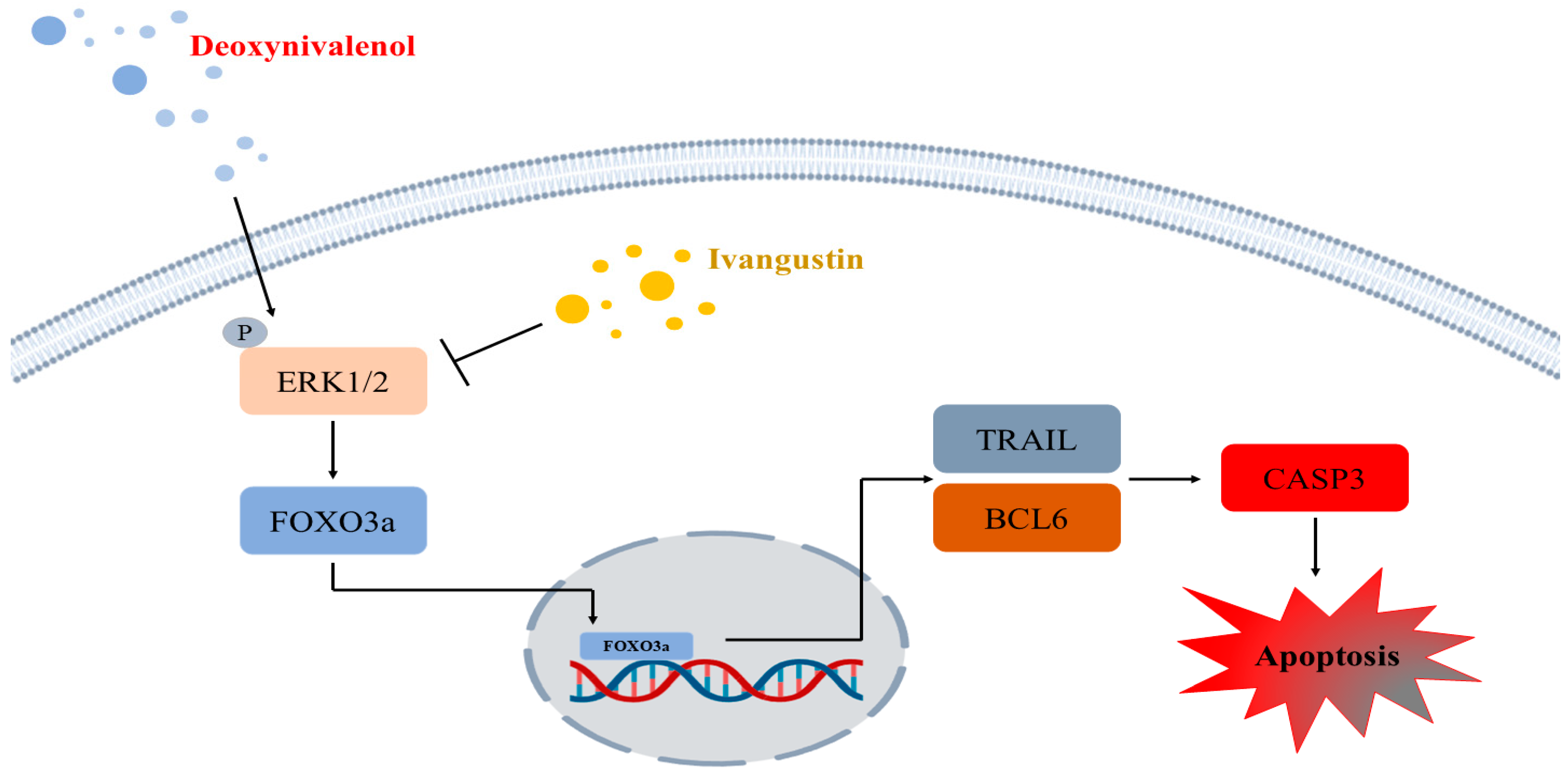Toxins 17 00174 g006