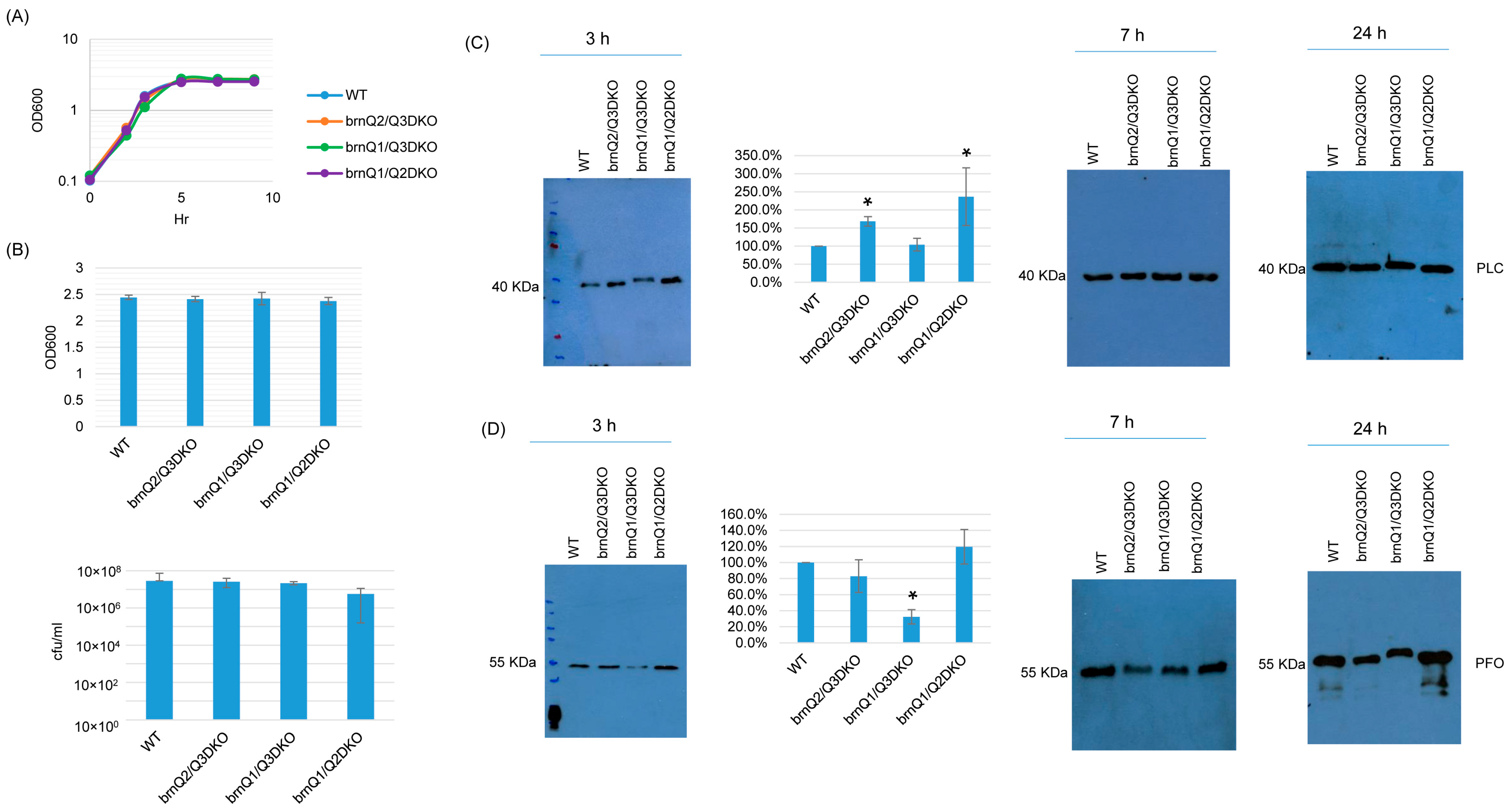 Toxins 17 00187 g006