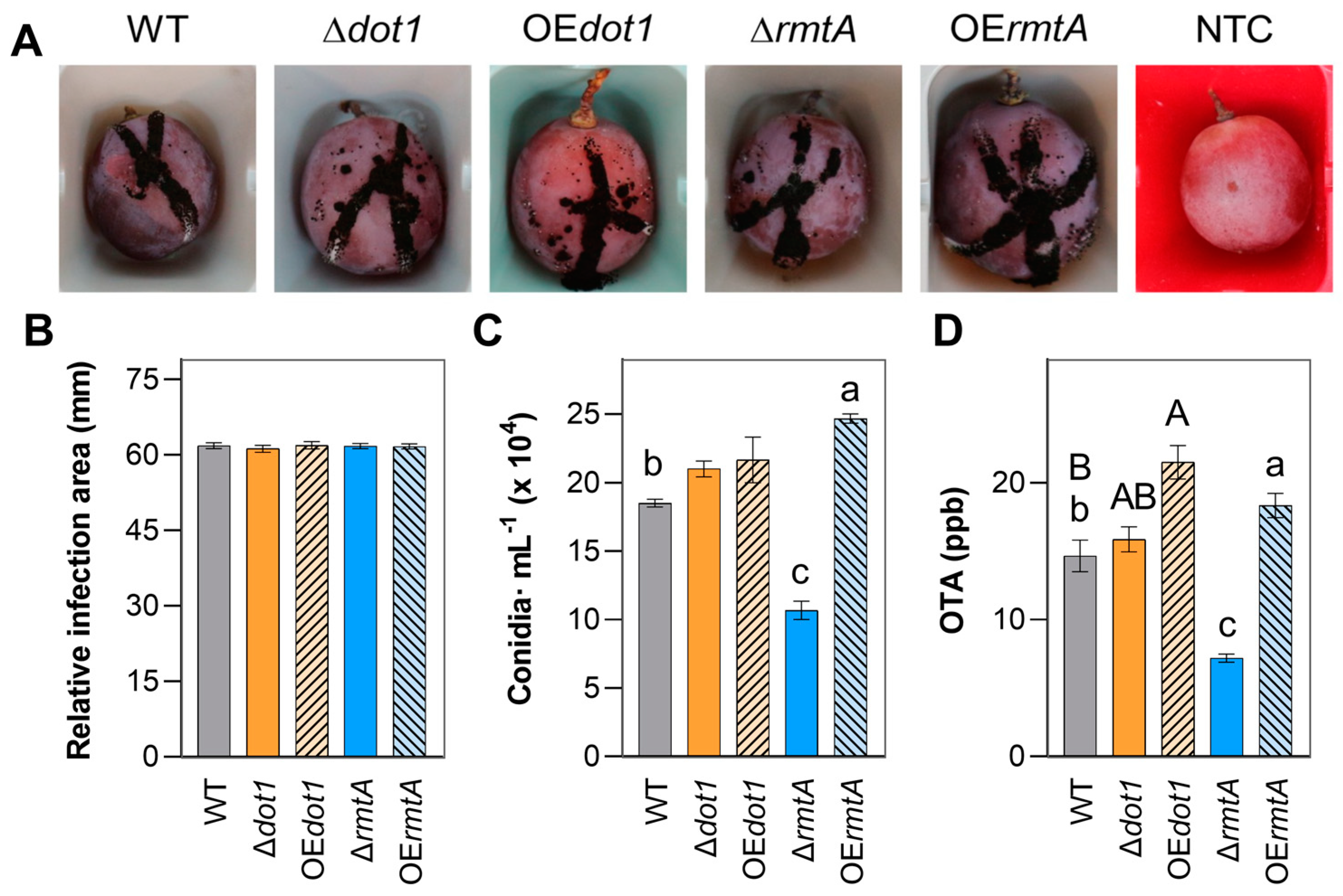 Toxins 17 00196 g006