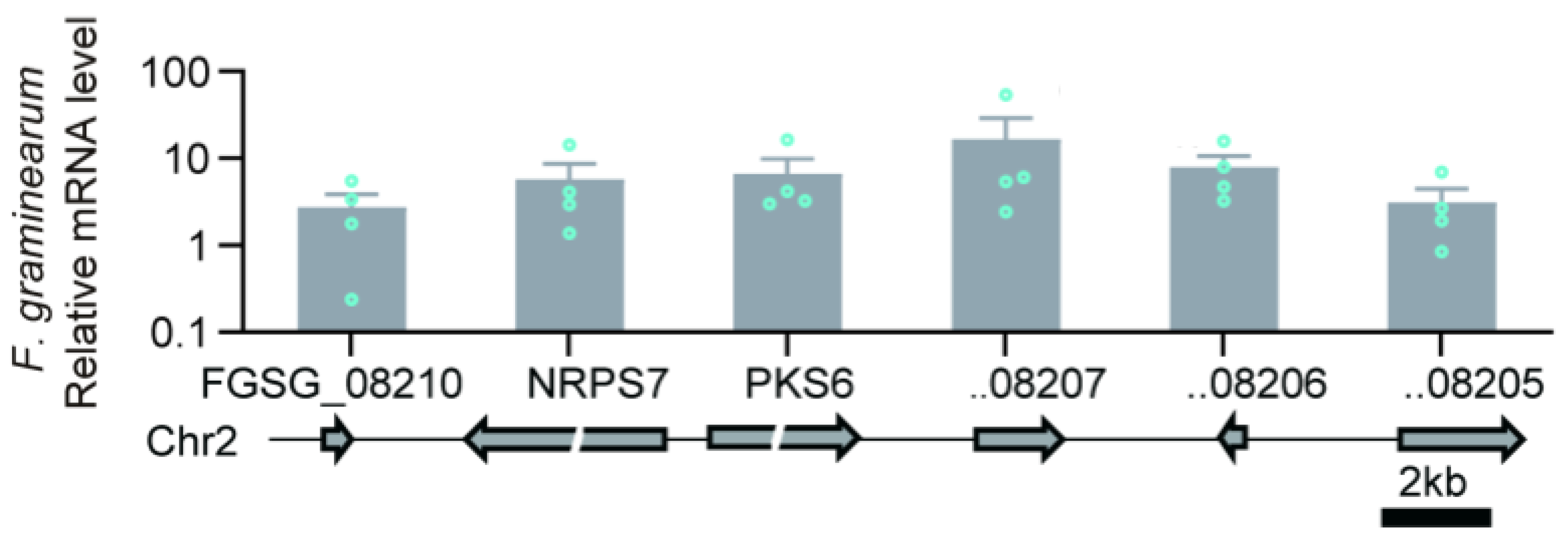 Toxins 17 00226 g010
