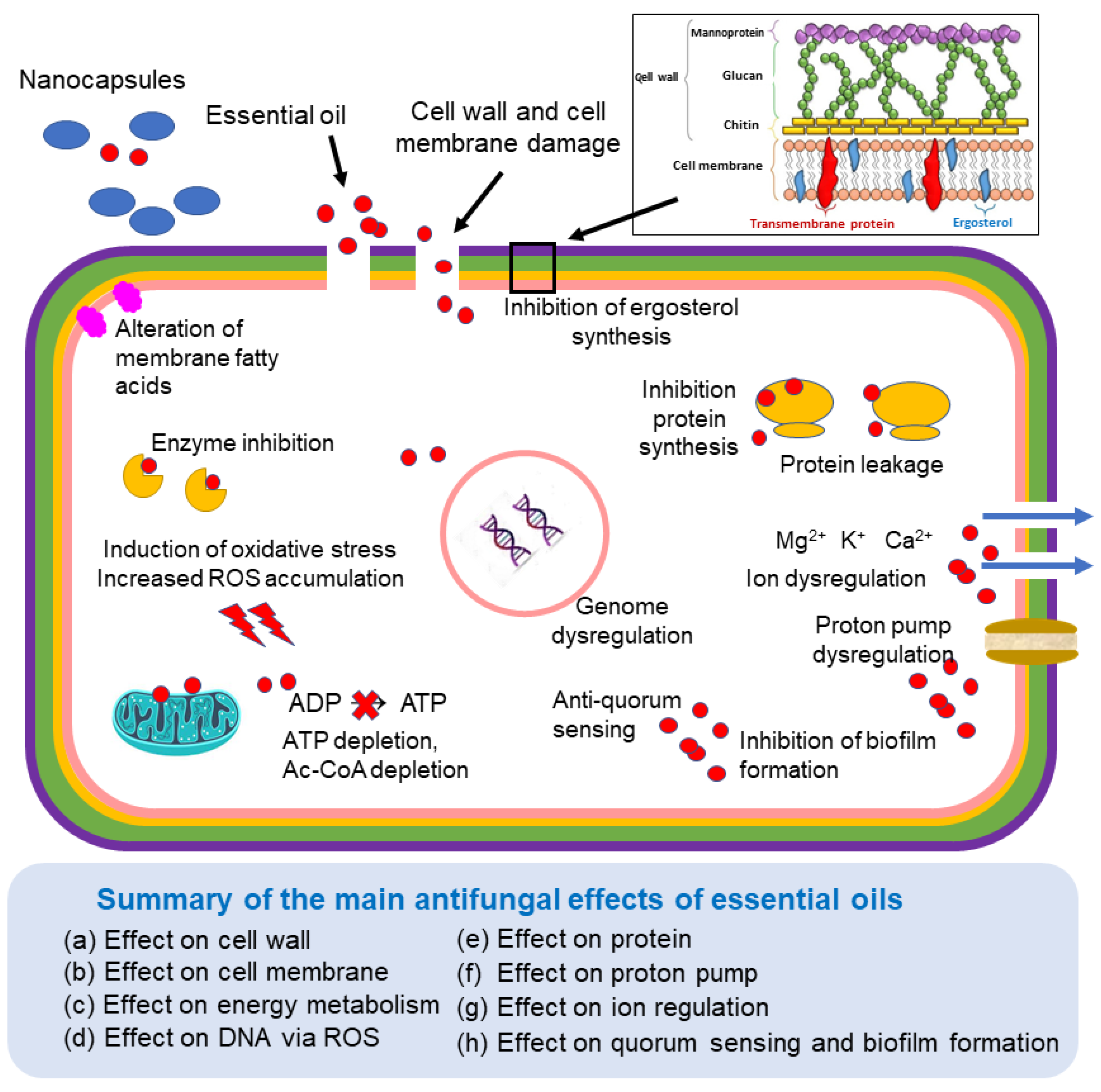 Toxins 17 00231 g002