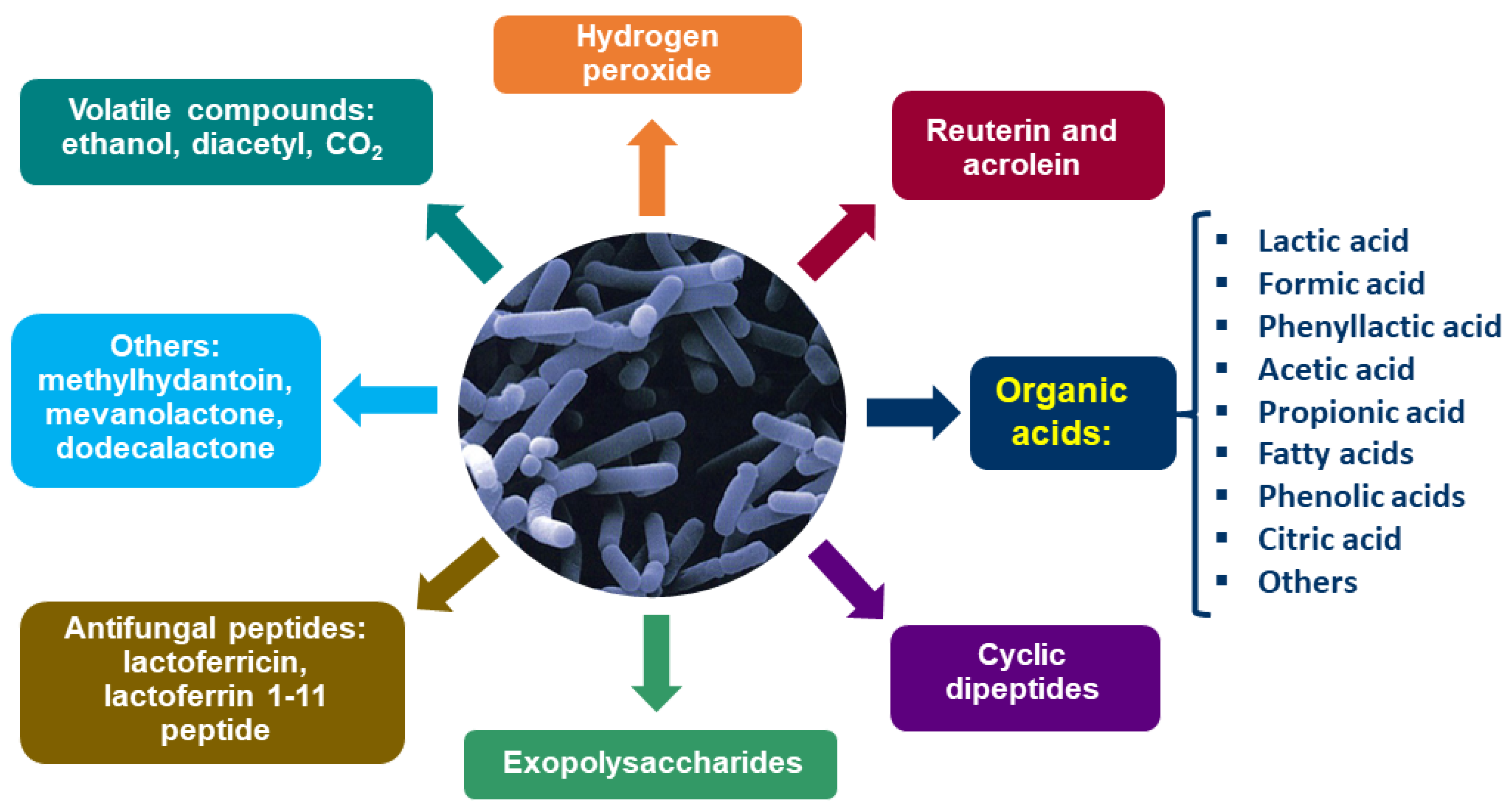 Toxins 17 00231 g005