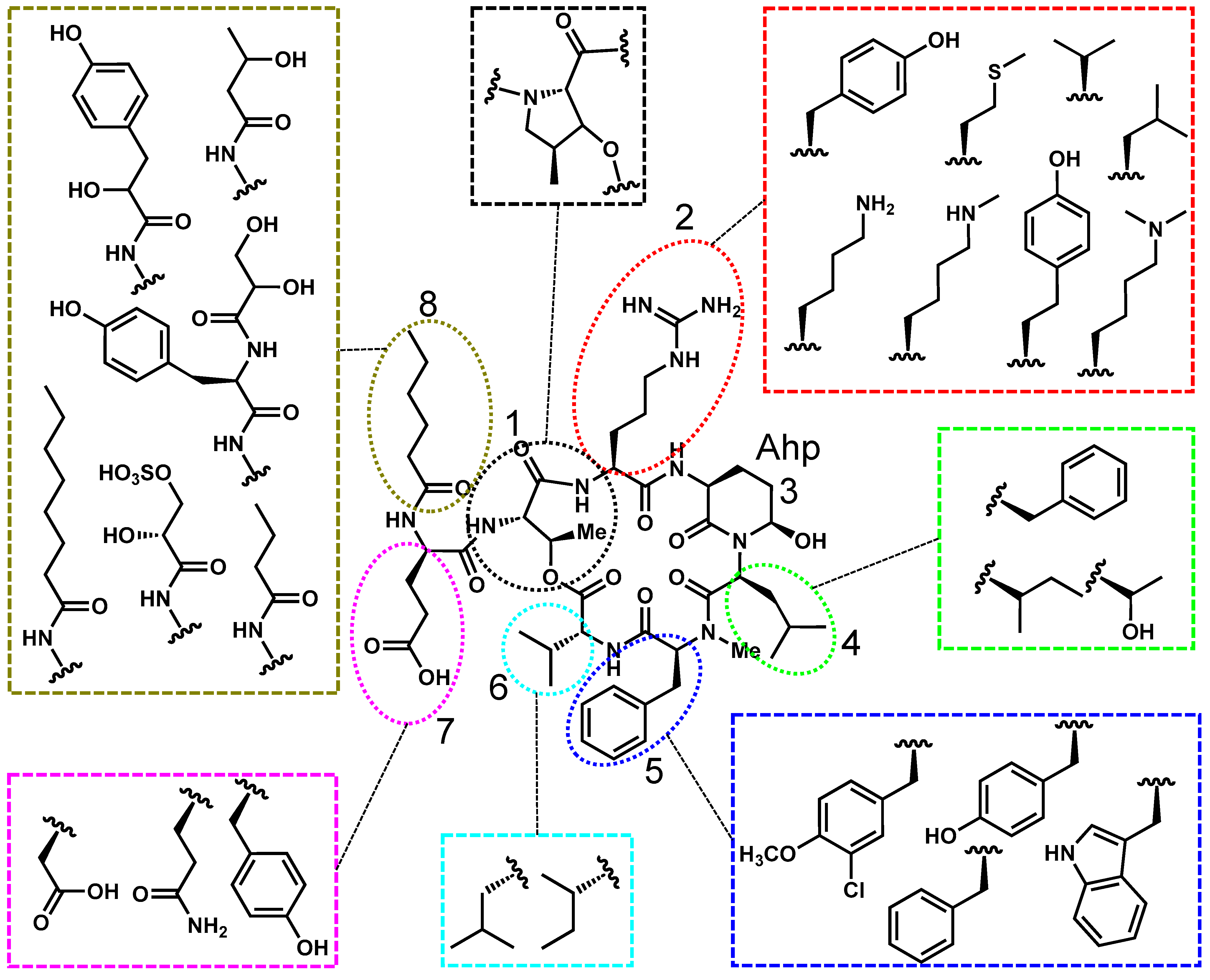 Toxins 17 00233 g003