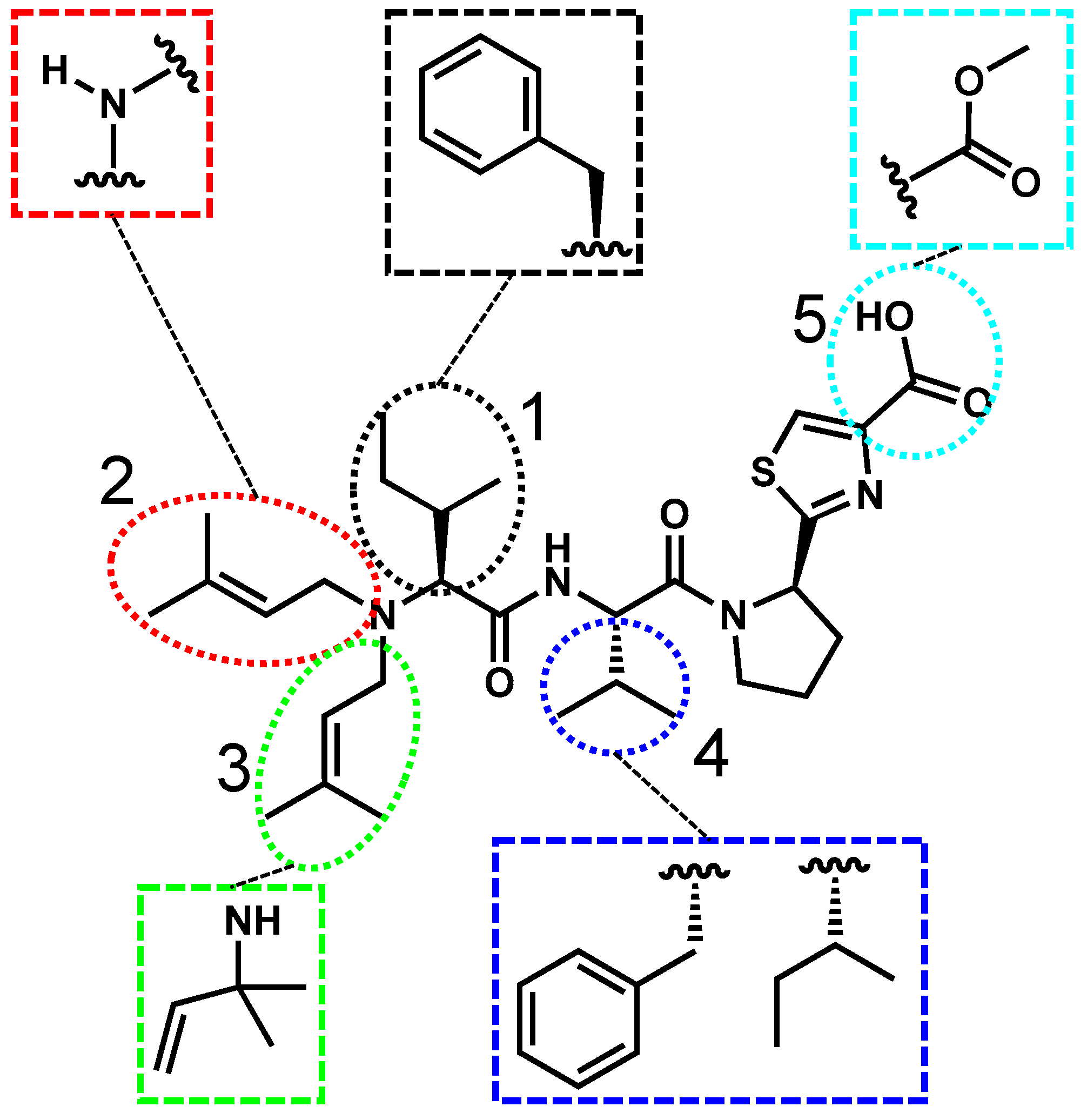 Toxins 17 00233 g004