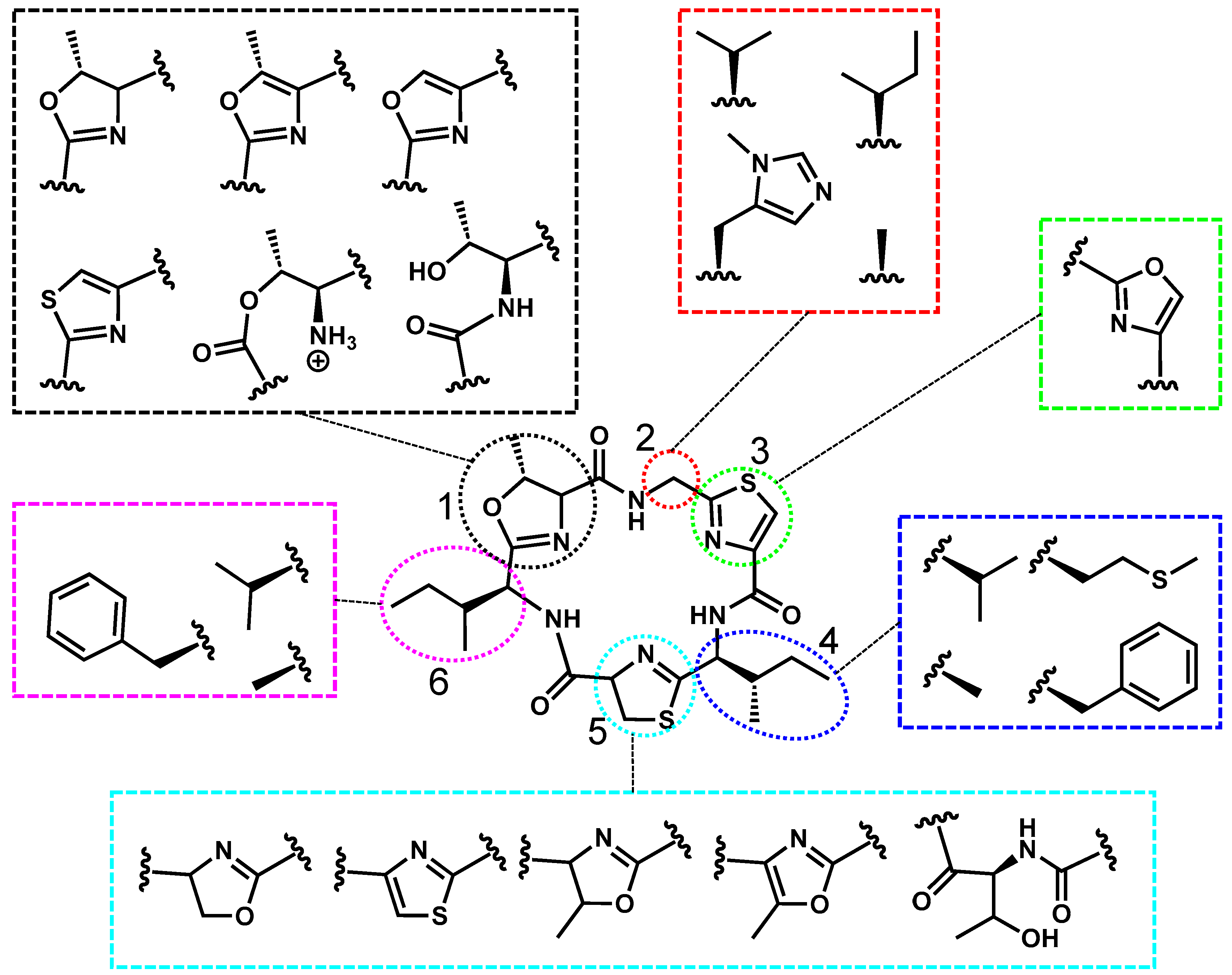 Toxins 17 00233 g007