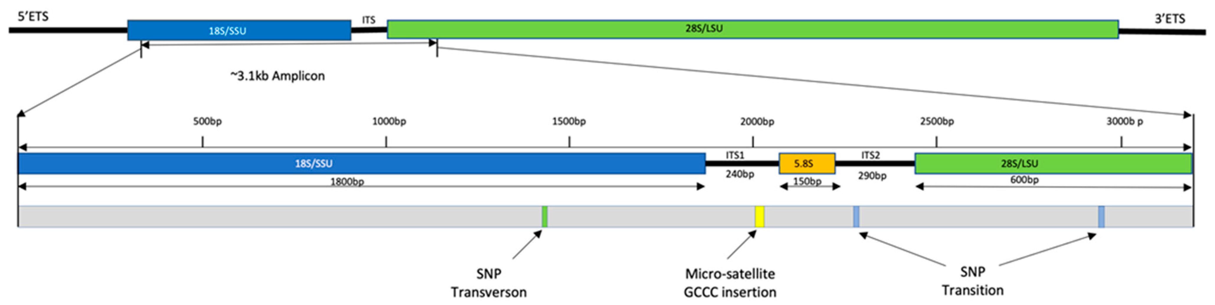Toxins 17 00235 g006