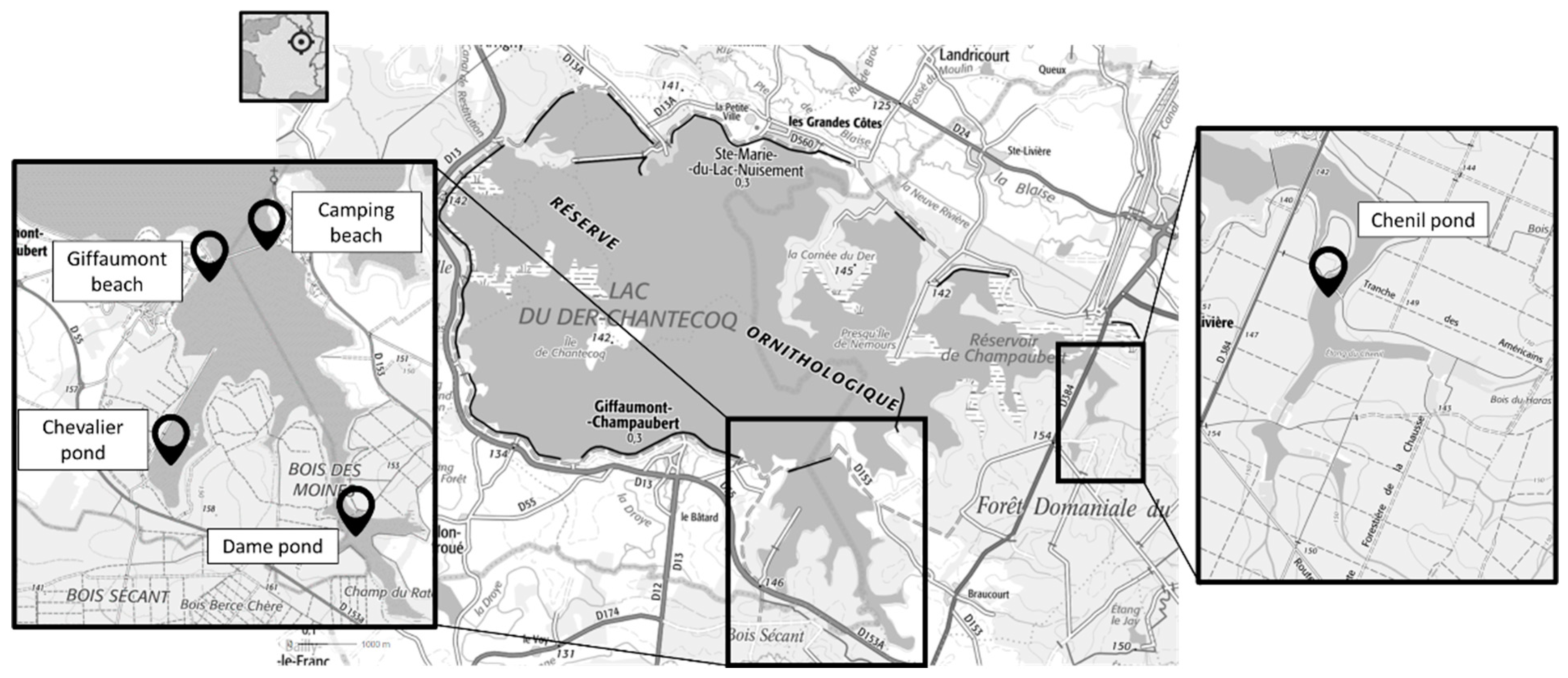 Toxins 17 00245 g010