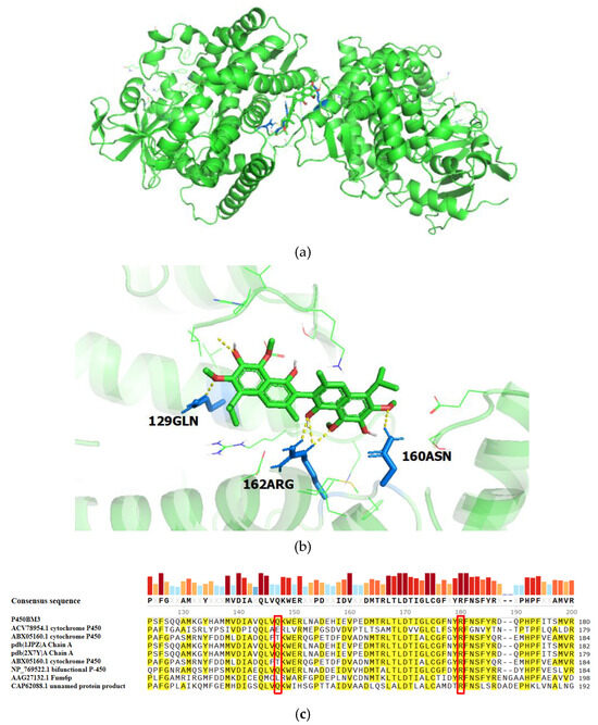 通販 送料無料  Overexpression Heterologous of from P450BM3 Cytochrome アイドルグッズ