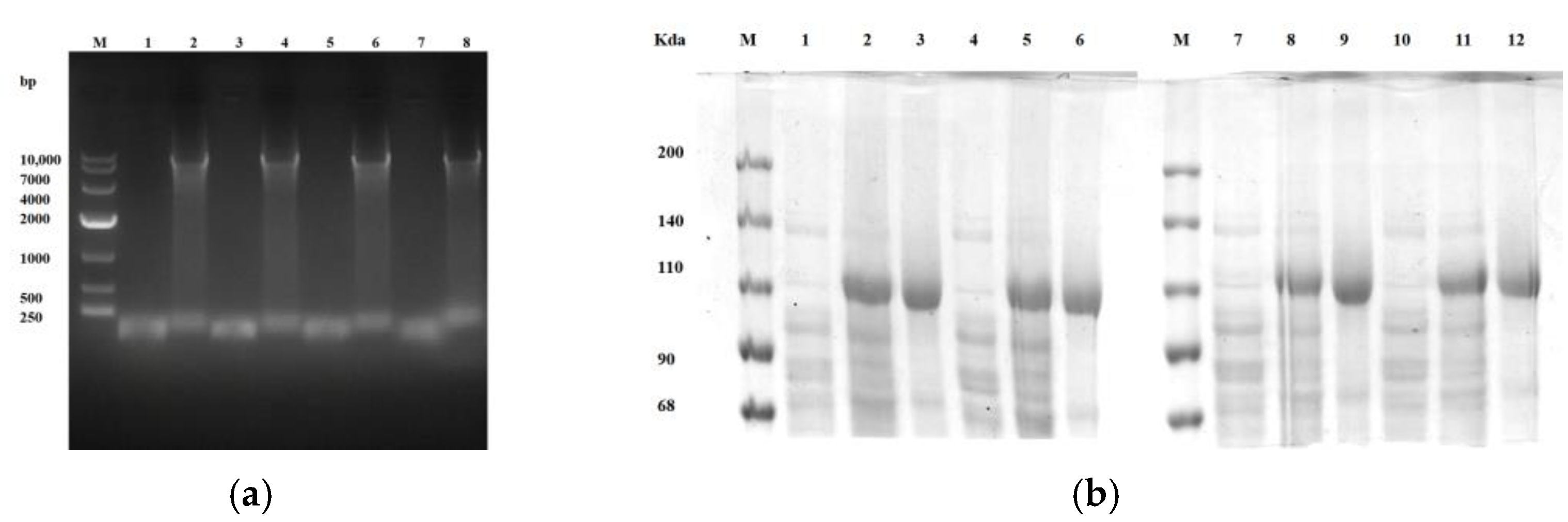 Toxins 17 00253 g005