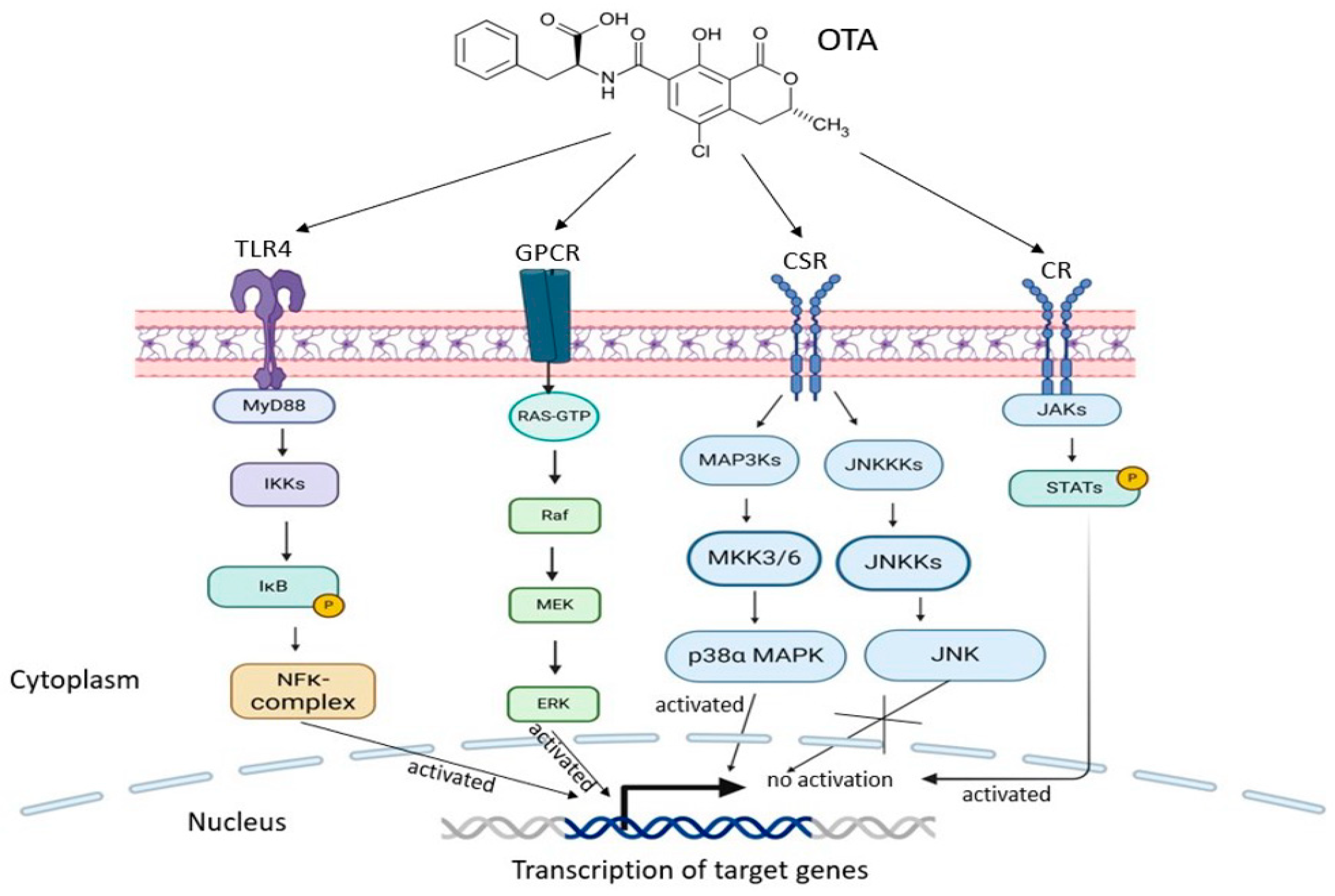 Toxins 17 00256 g003