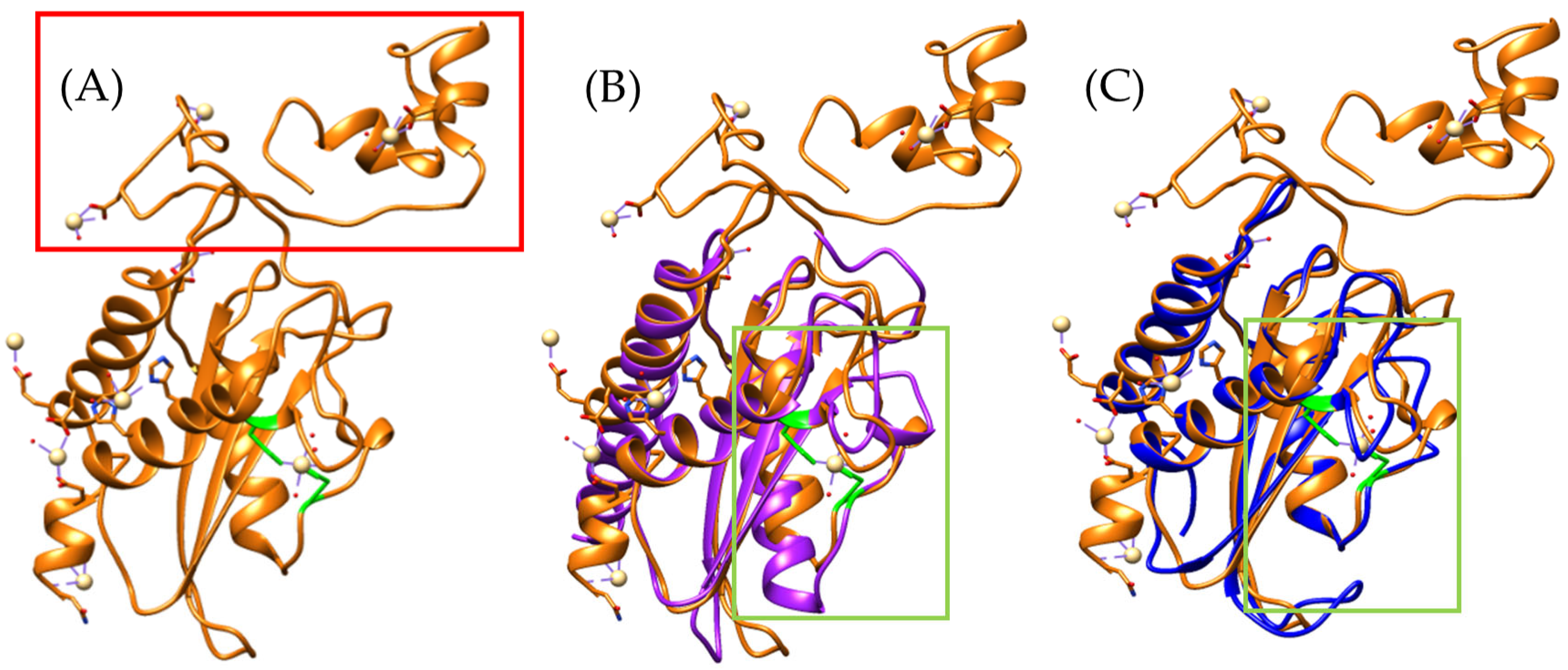 Toxins 17 00262 g003