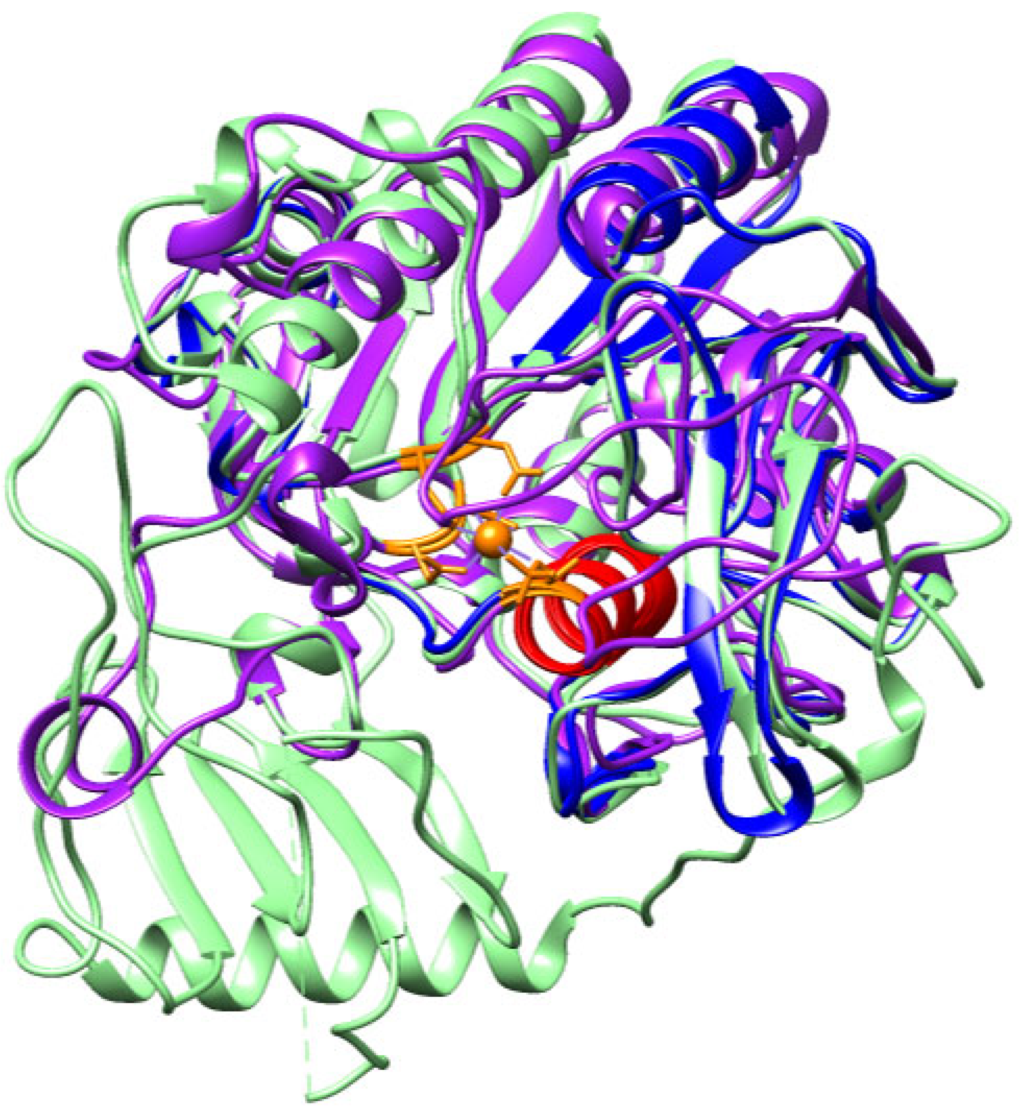 Toxins 17 00262 g008