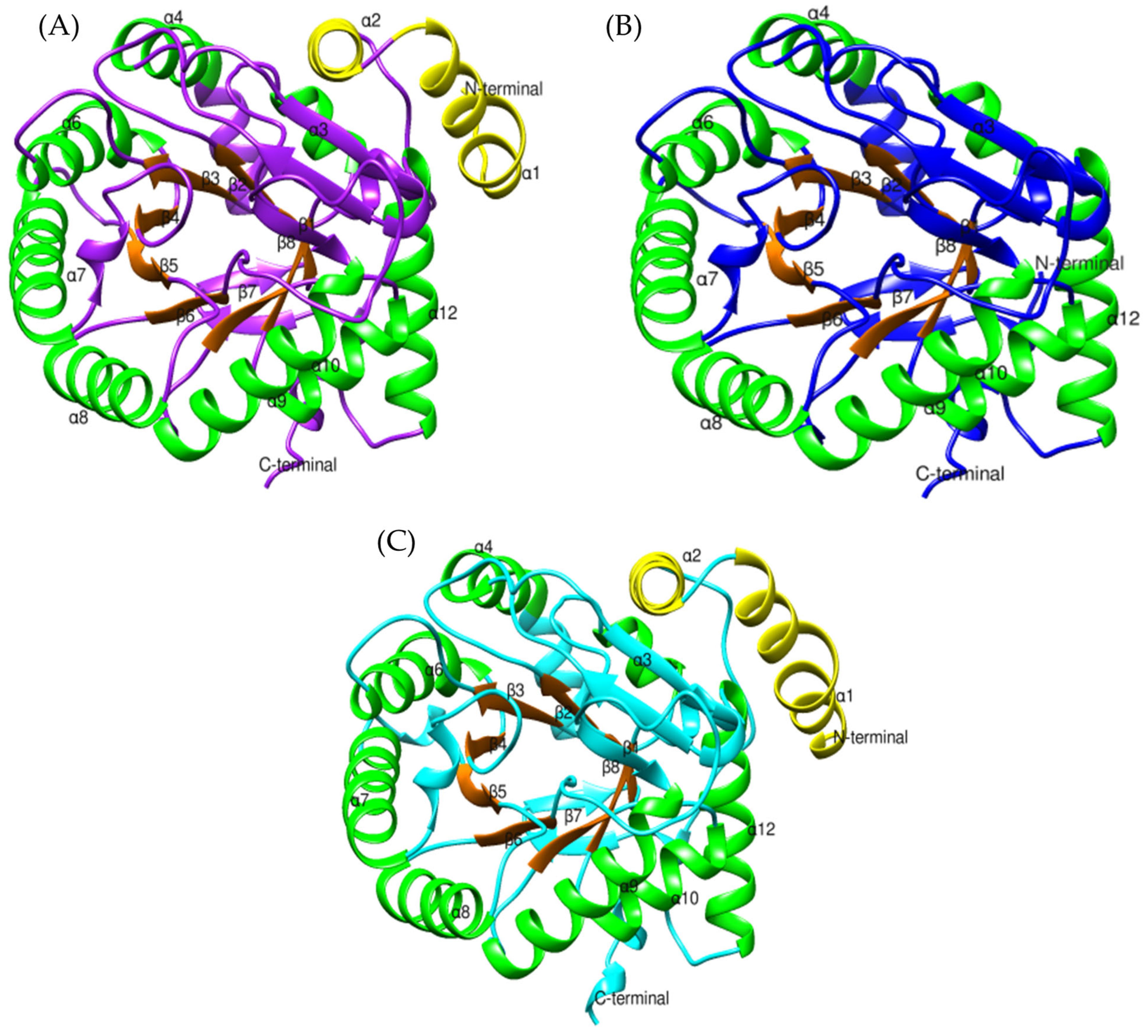 Toxins 17 00262 g012