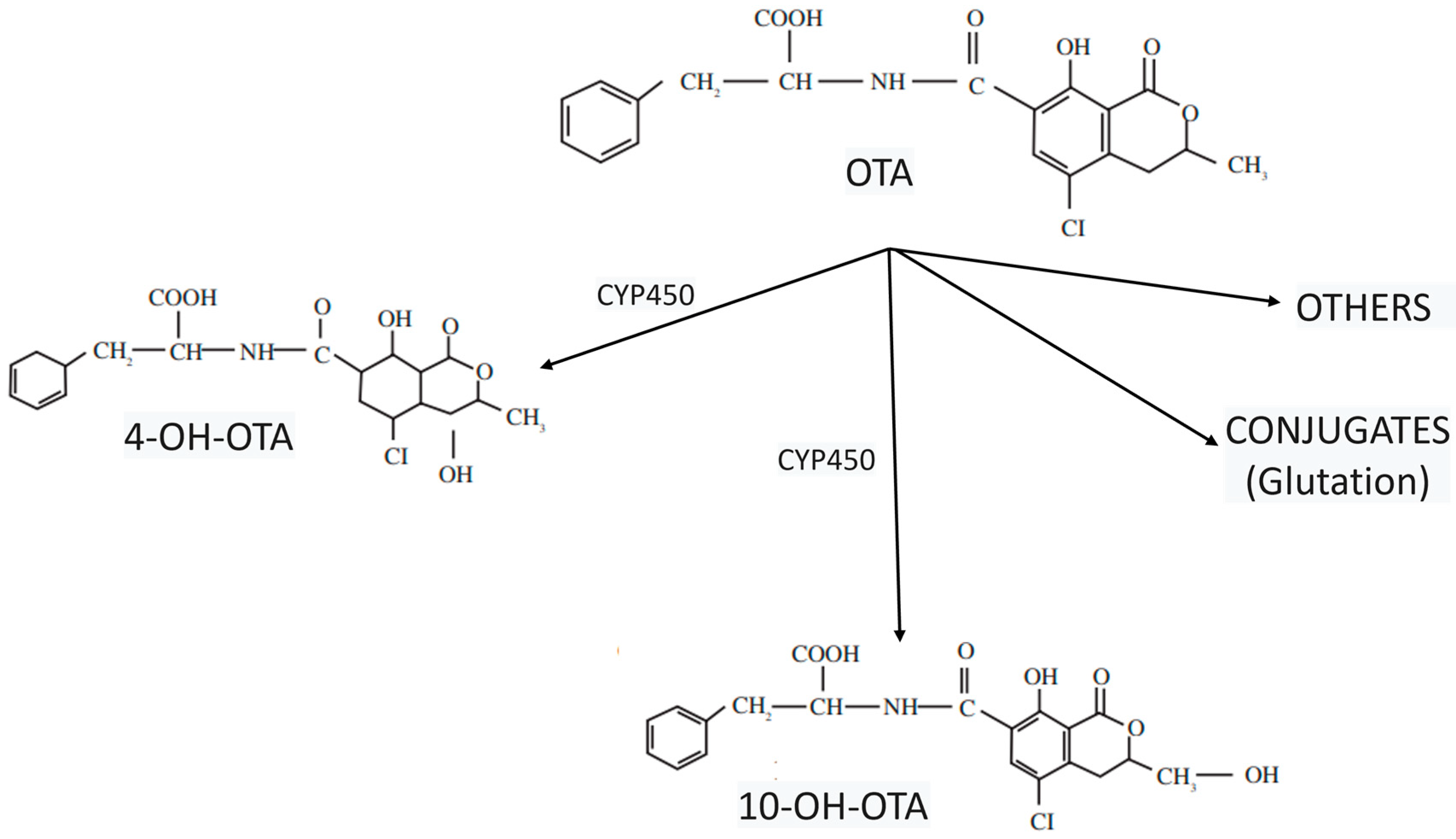 Toxins 17 00264 g003