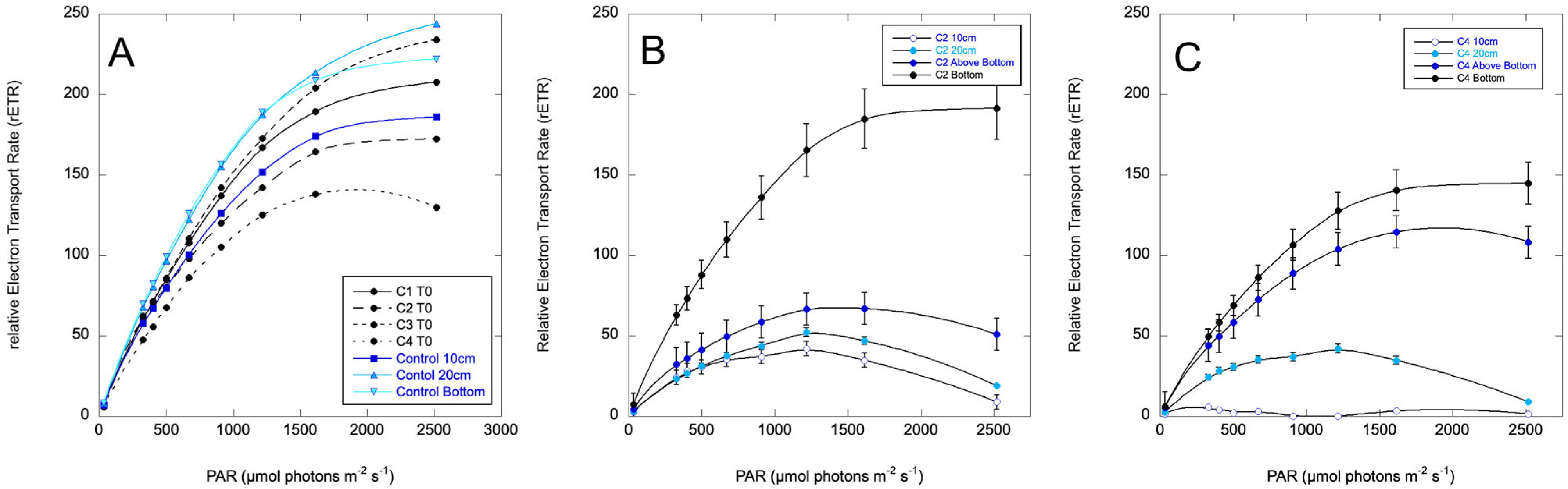 Toxins 17 00270 g006