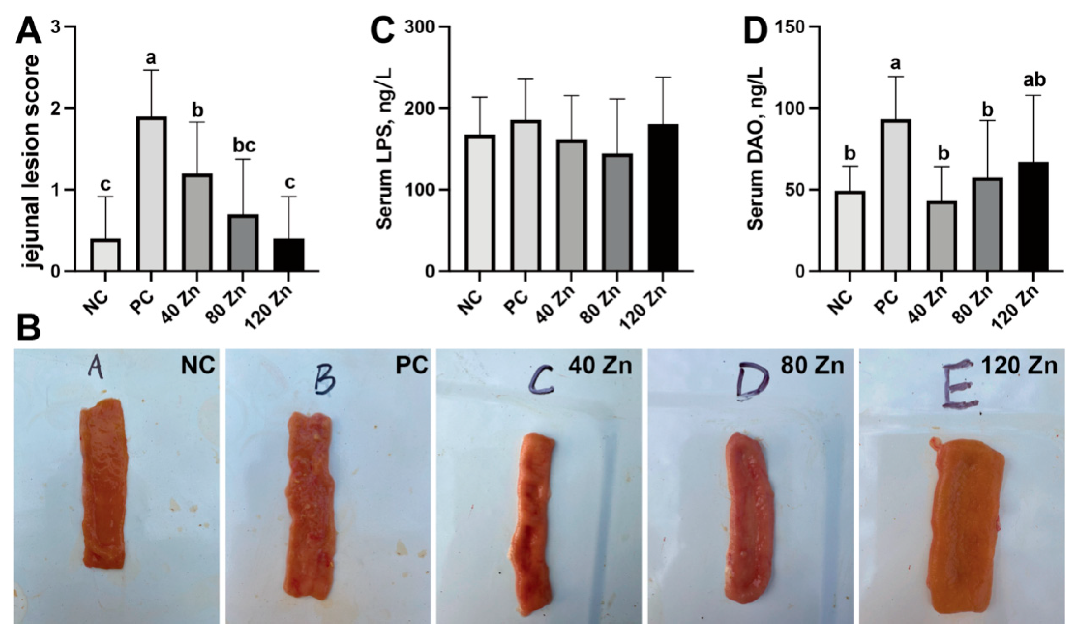 Toxins 17 00272 g002