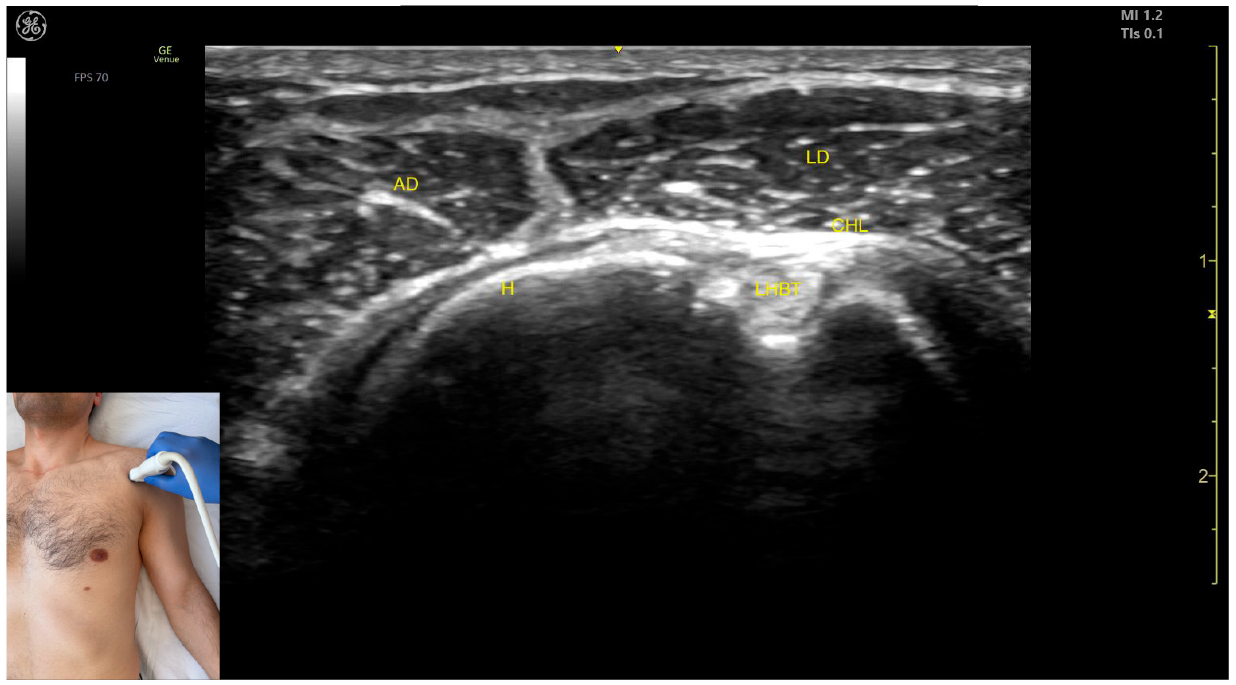 Toxins 17 00276 g008