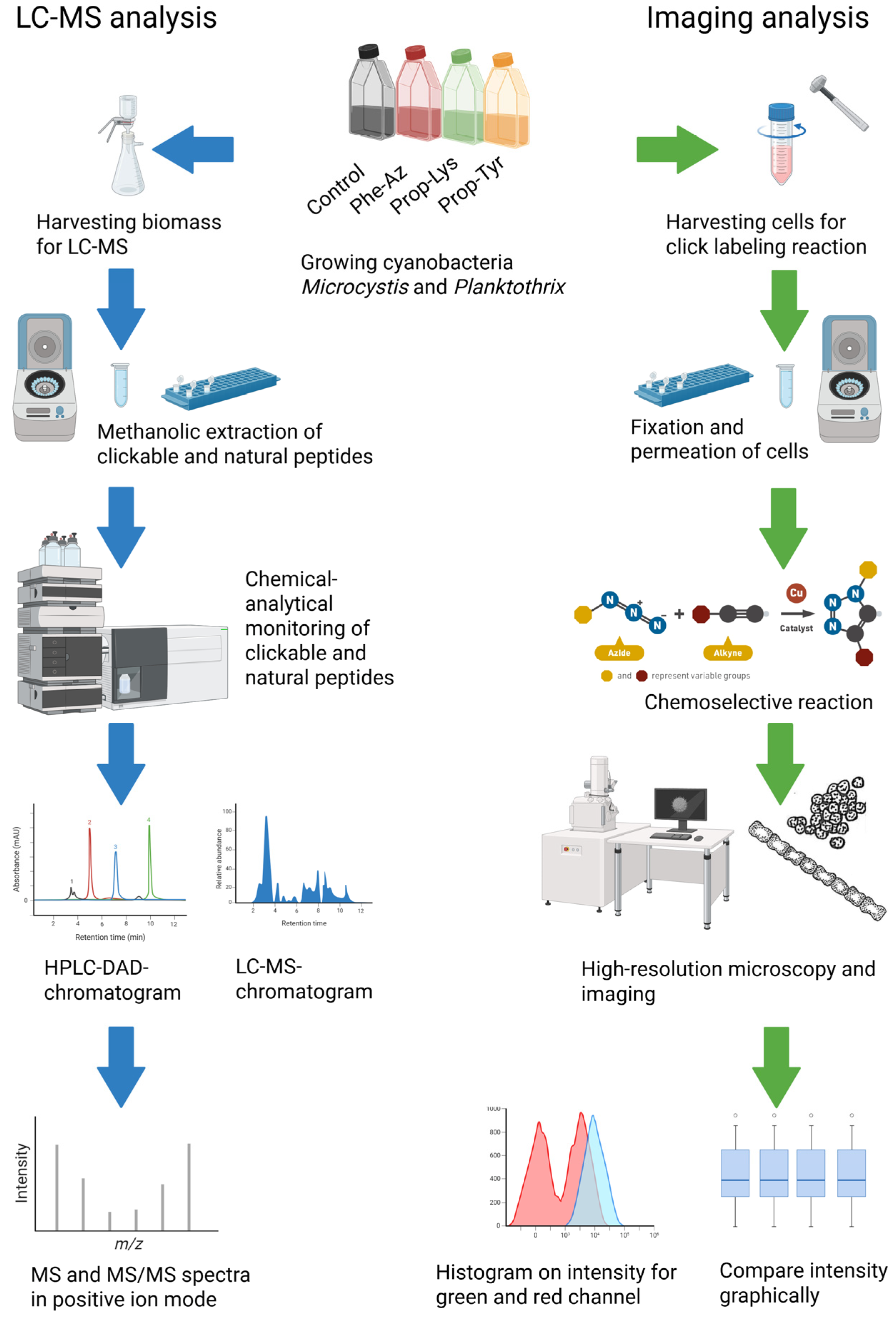 Toxins 17 00278 g001