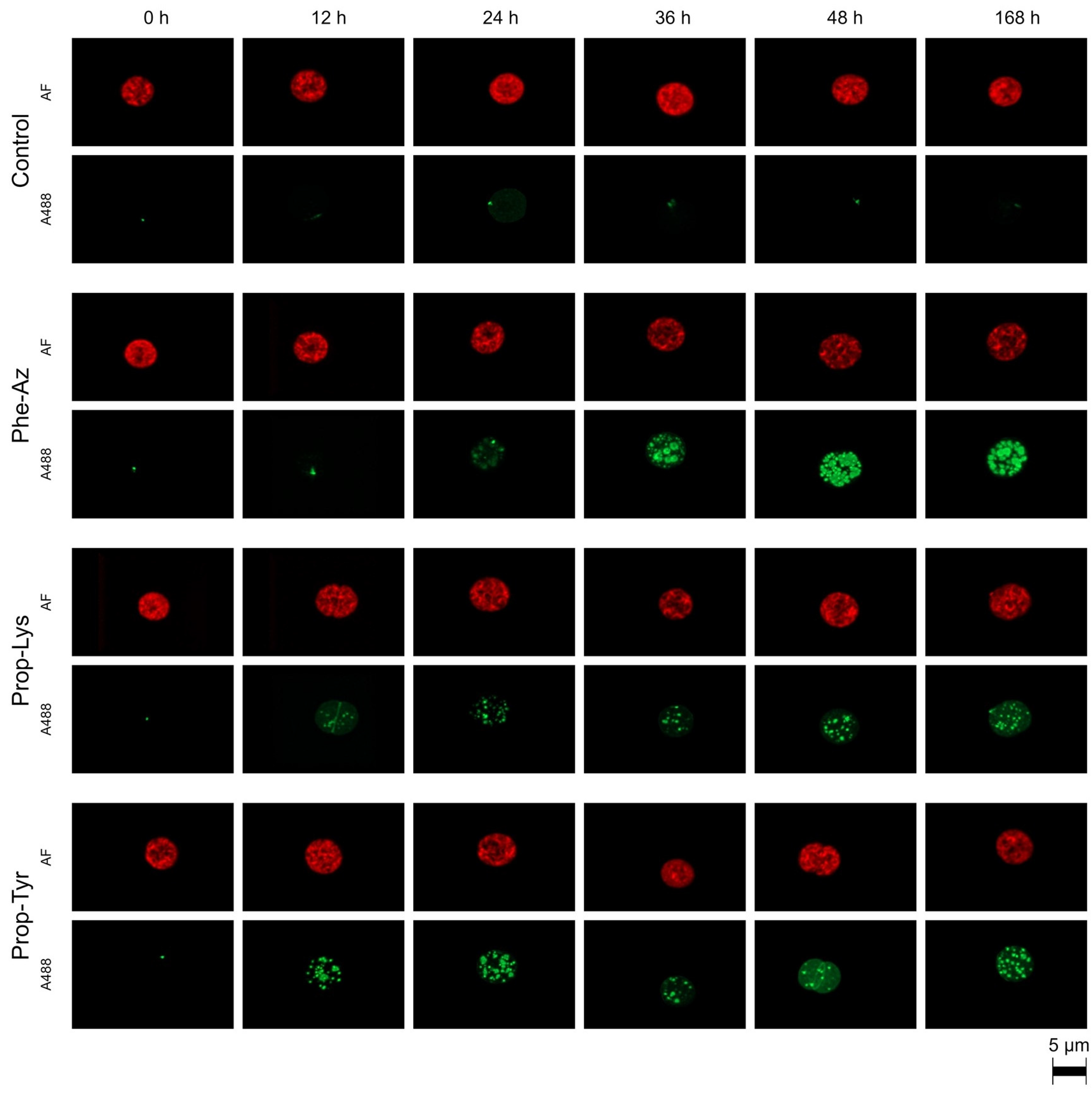Toxins 17 00278 g002