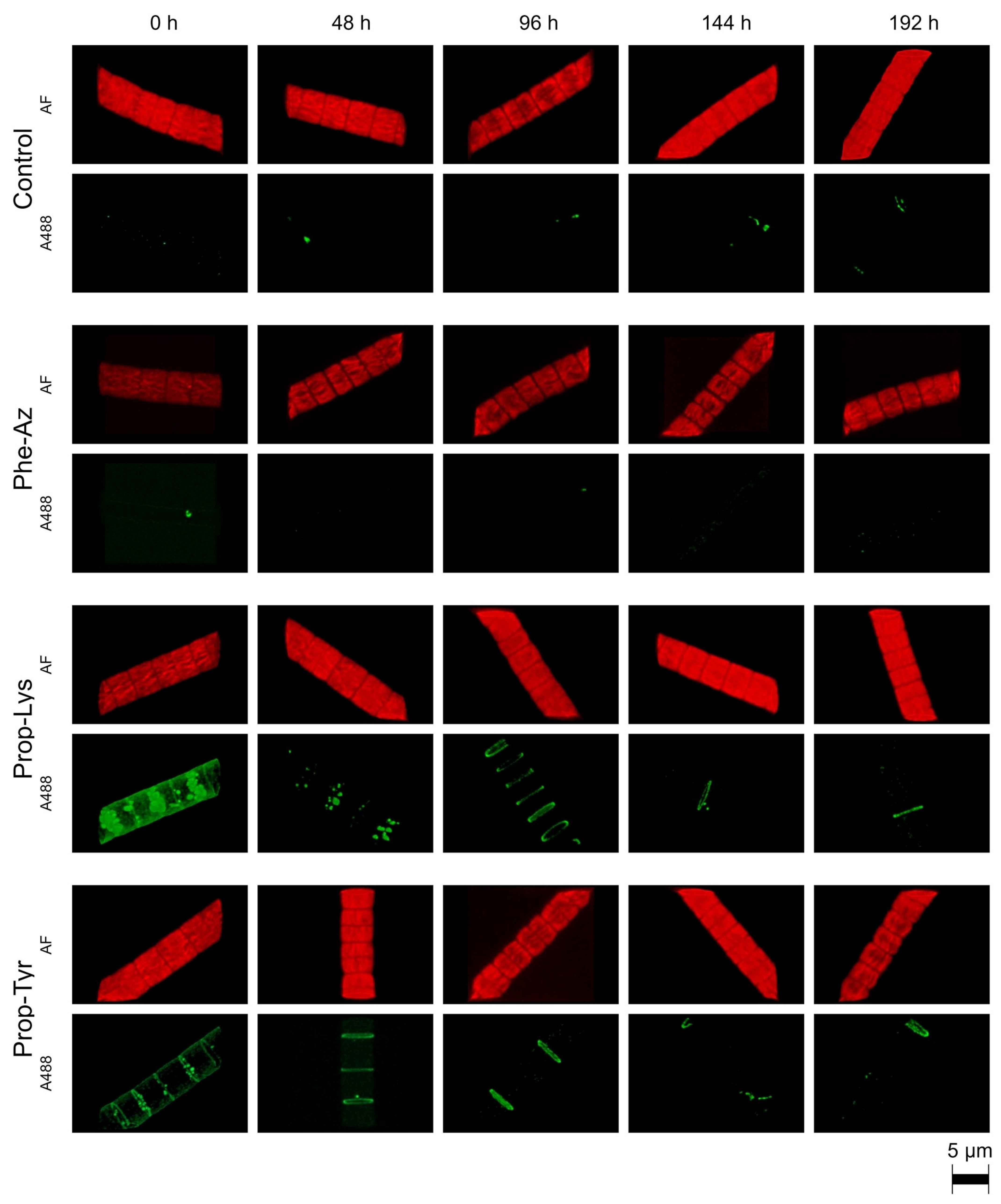 Toxins 17 00278 g005