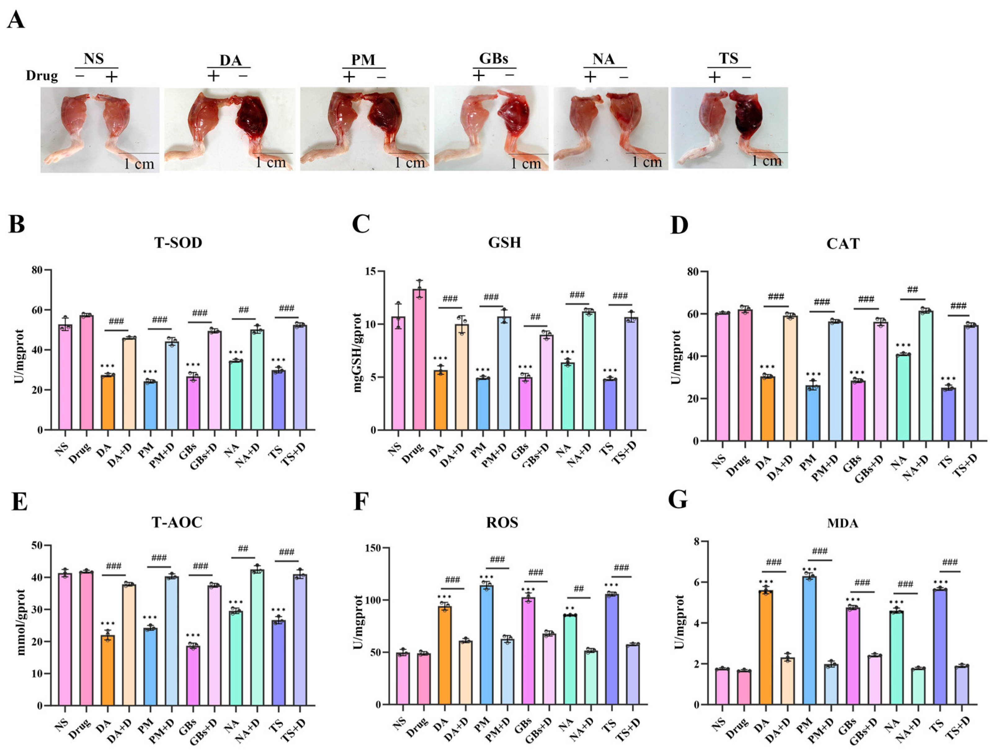 Toxins 17 00280 g002