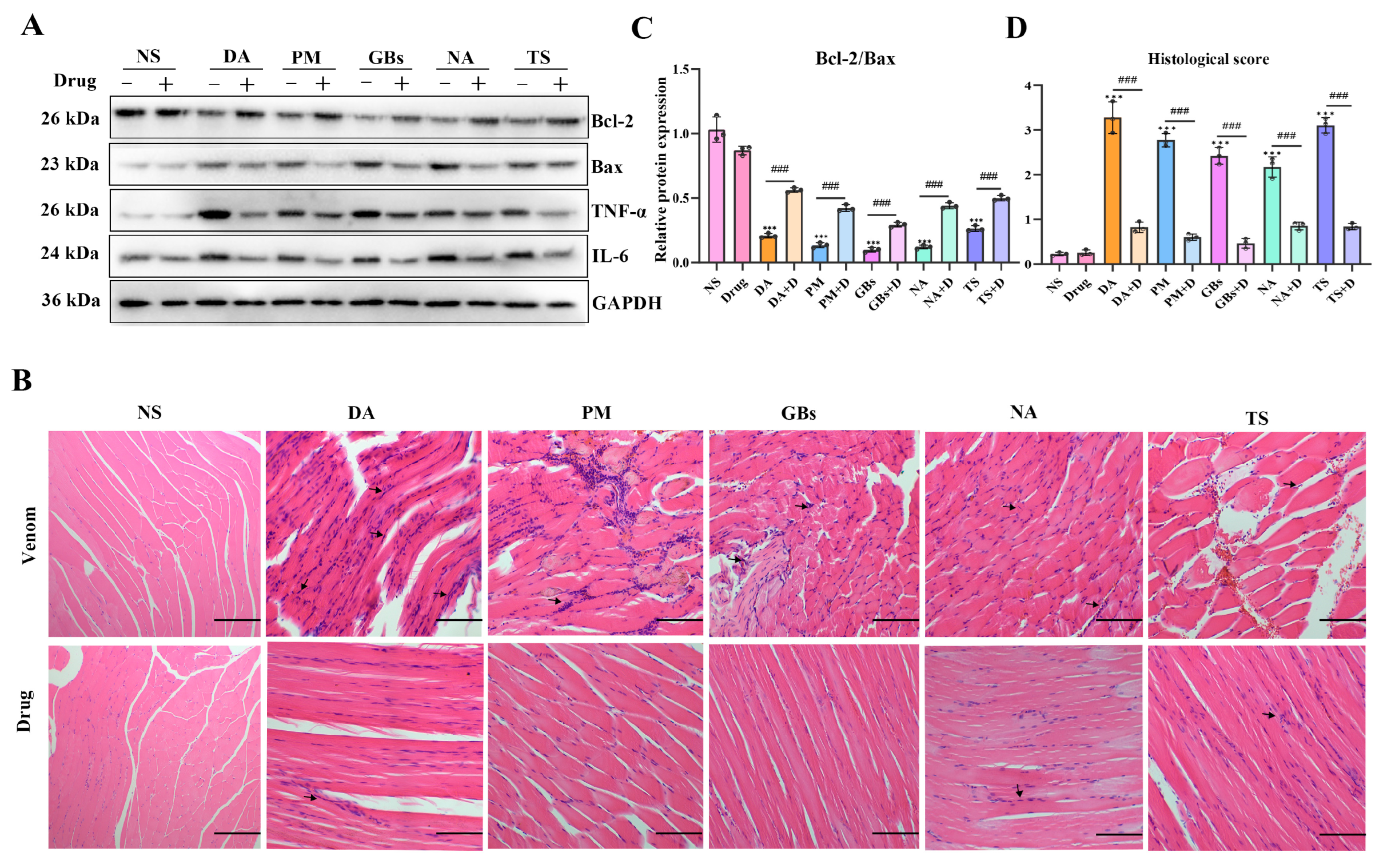 Toxins 17 00280 g003