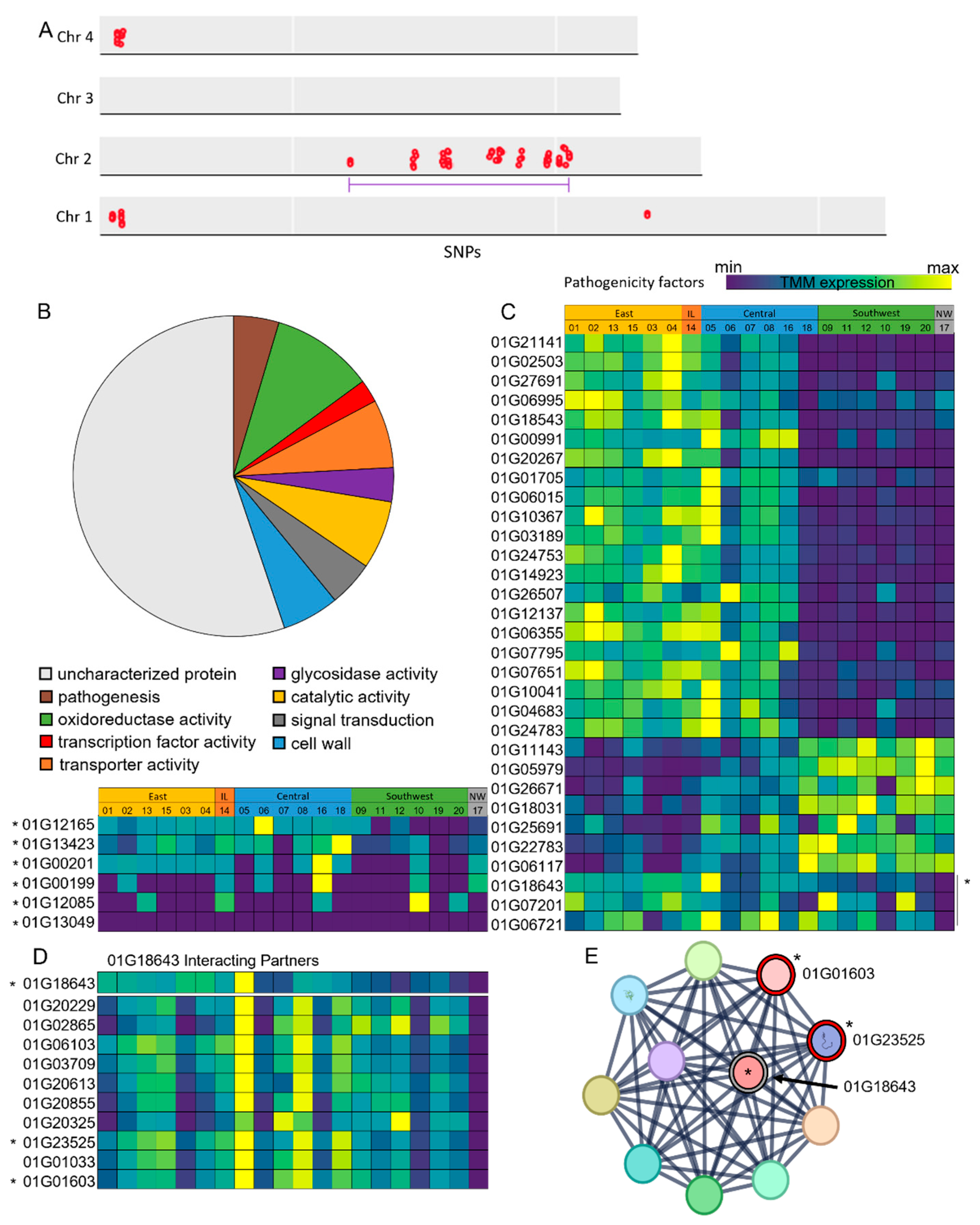 幻覚 BALZAC DARKISM ALLERGY Official Balzac Deep Blue: Chaos from Darkism CD/DVD