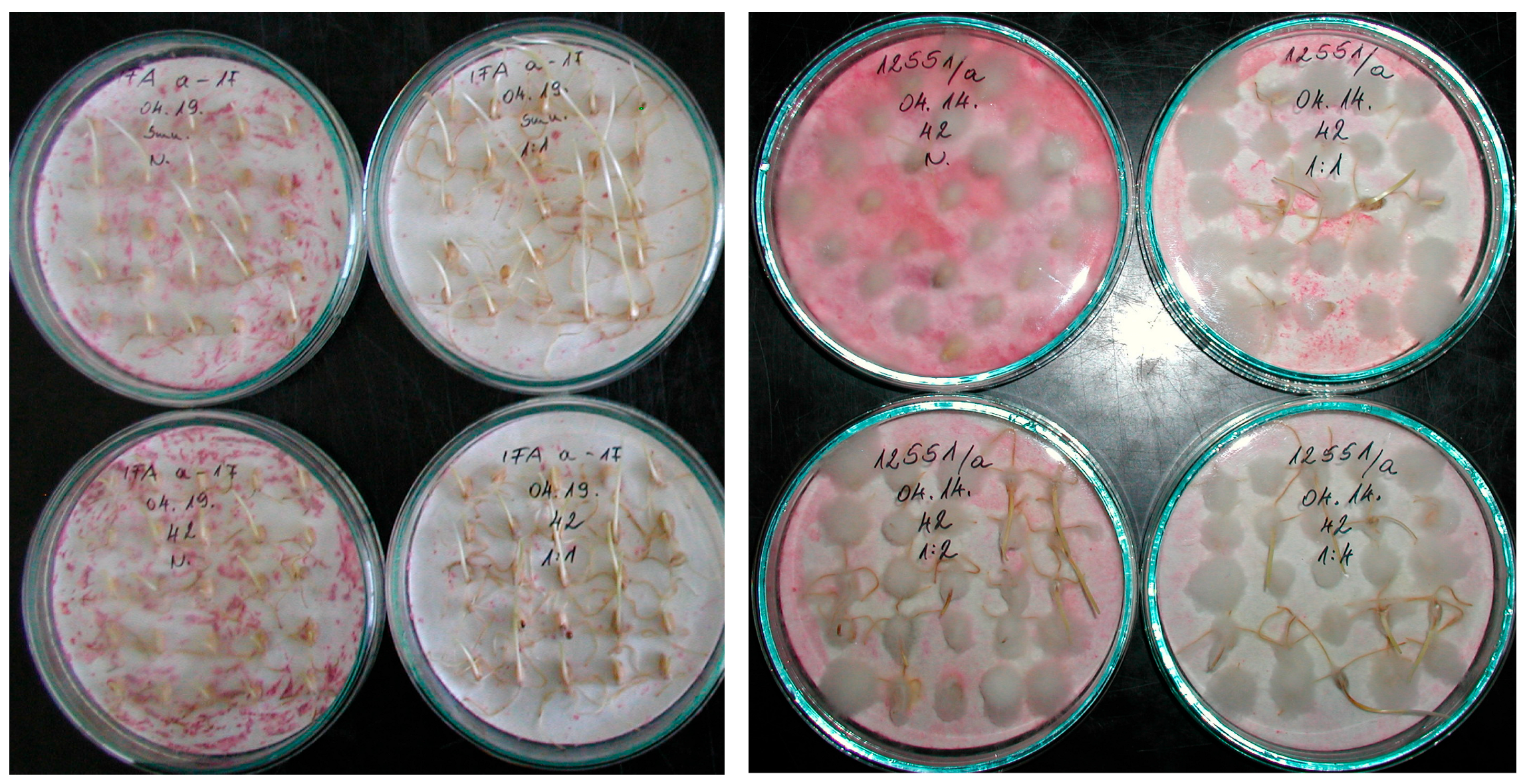 Toxins 17 00288 g013