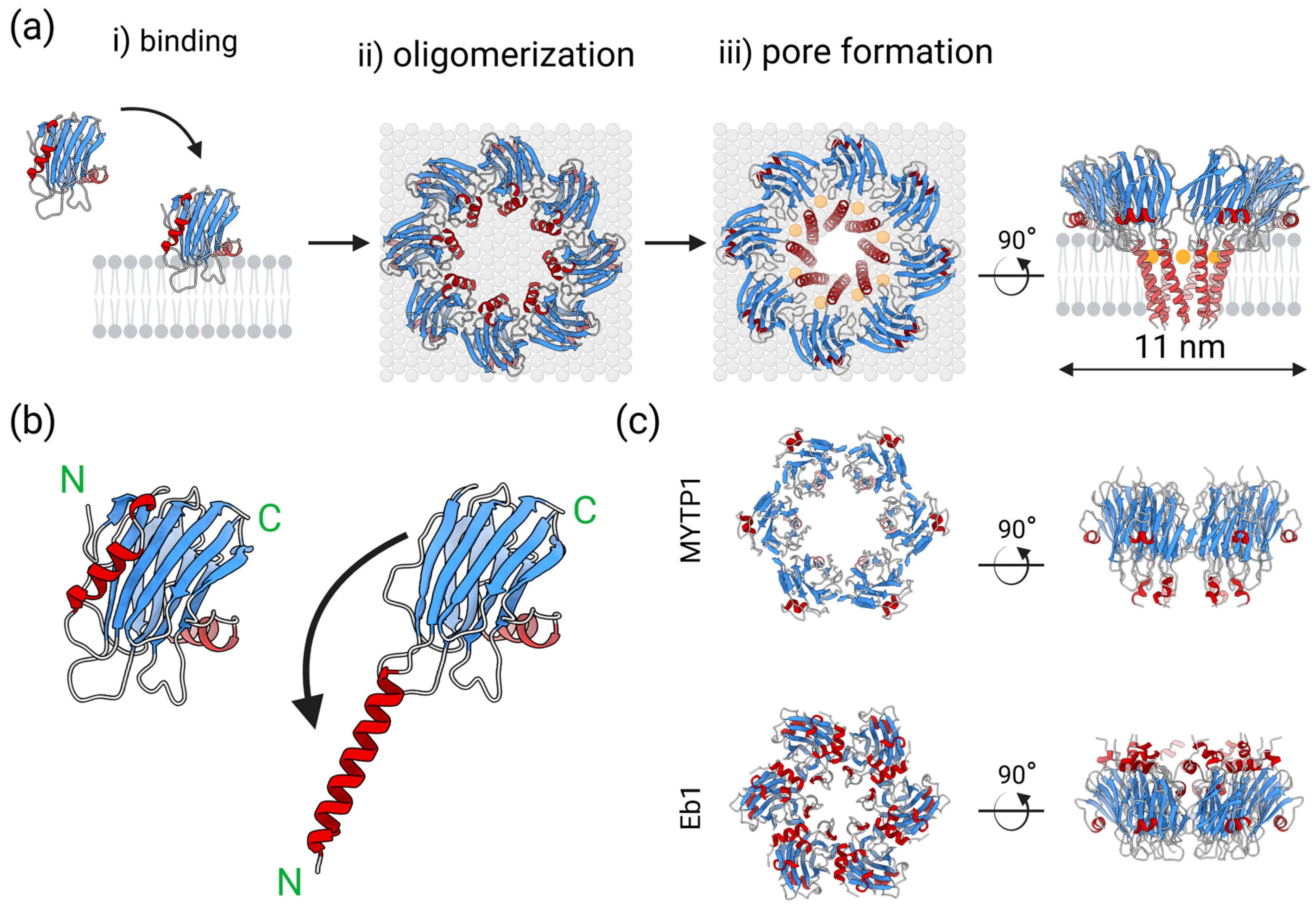 Toxins 17 00291 g001