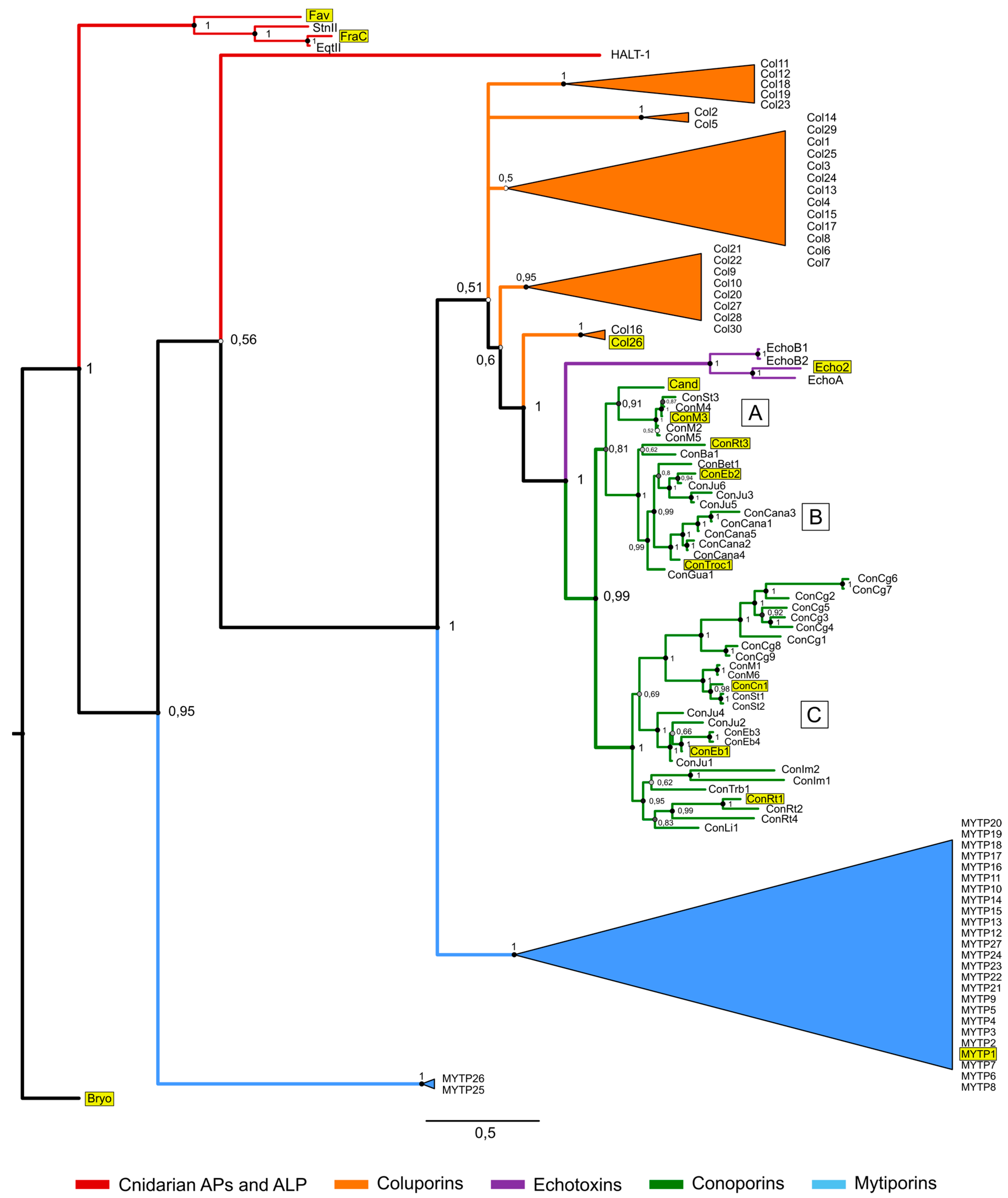 Toxins 17 00291 g004