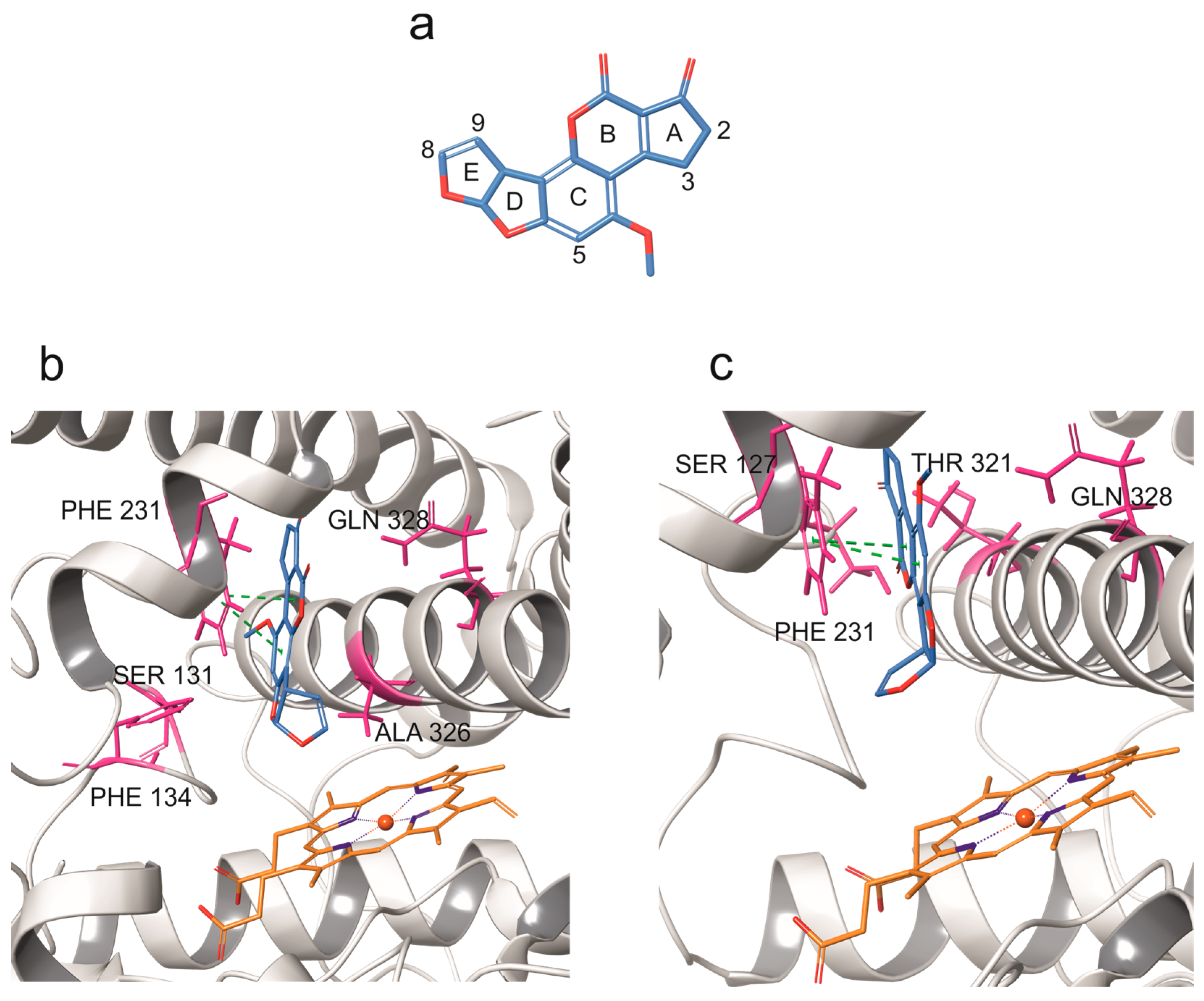 Toxins 17 00294 g002 Toxins 17 00294 g002
