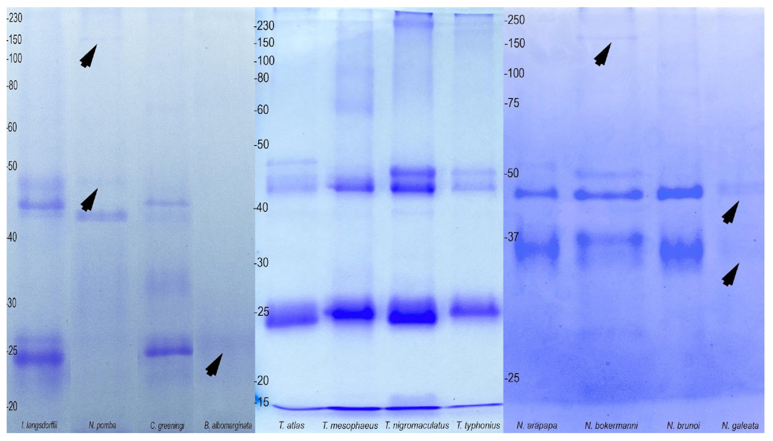 Toxins 17 00303 g006