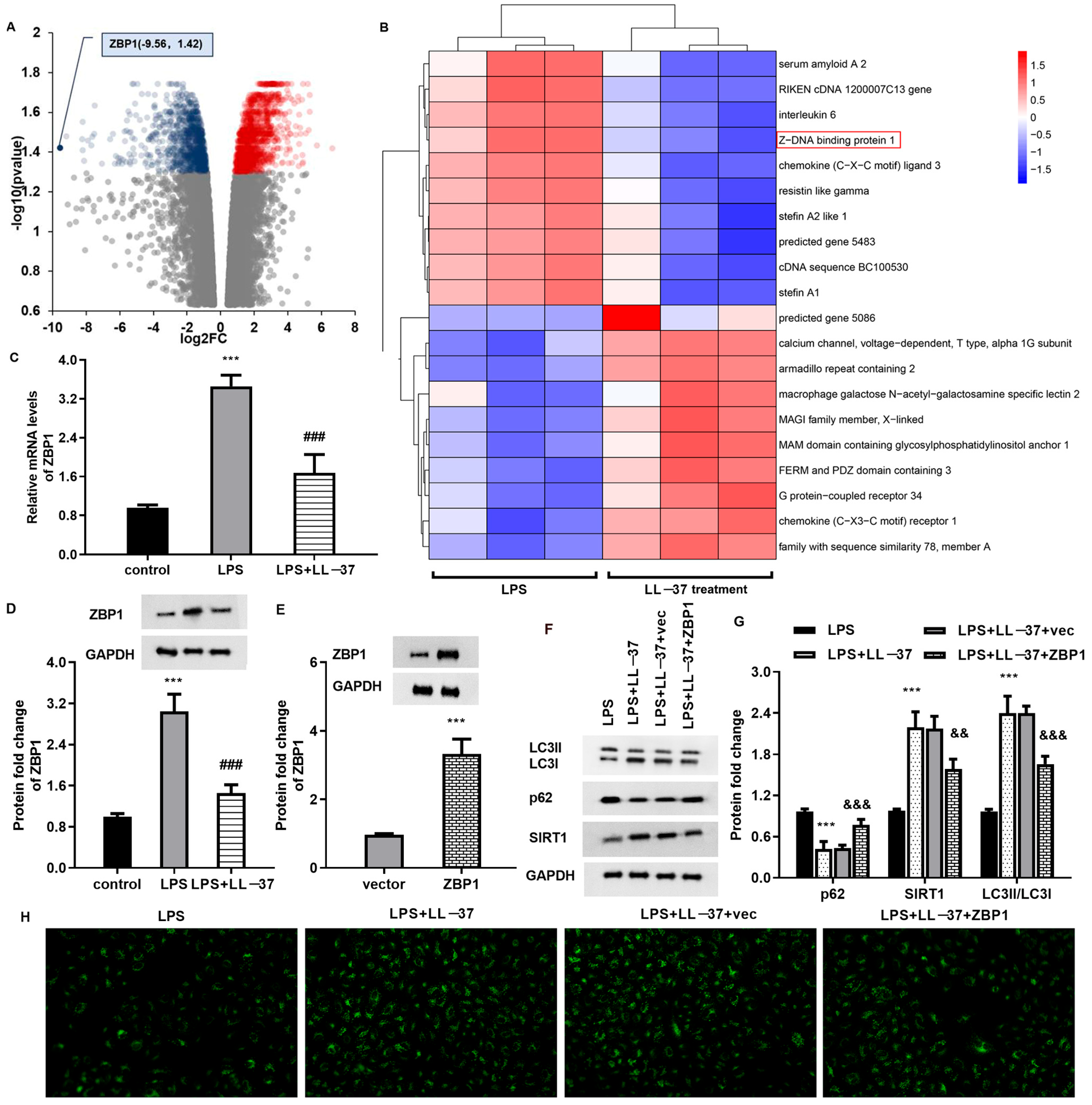 Toxins 17 00306 g004