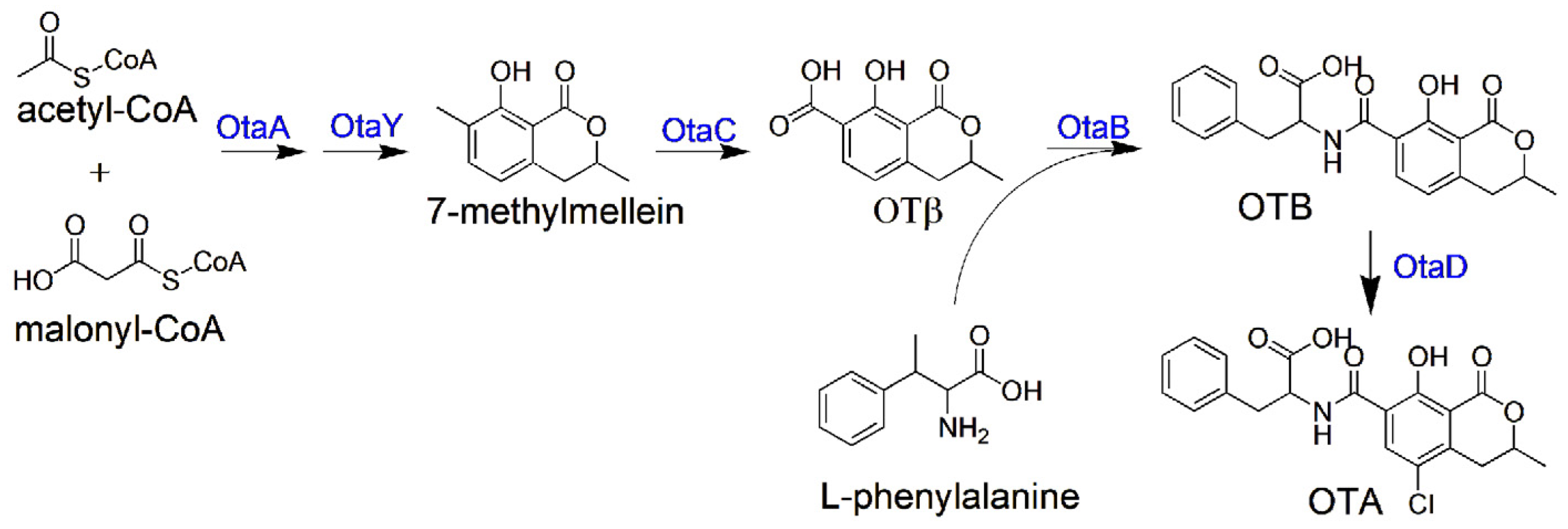 Toxins 17 00311 g001
