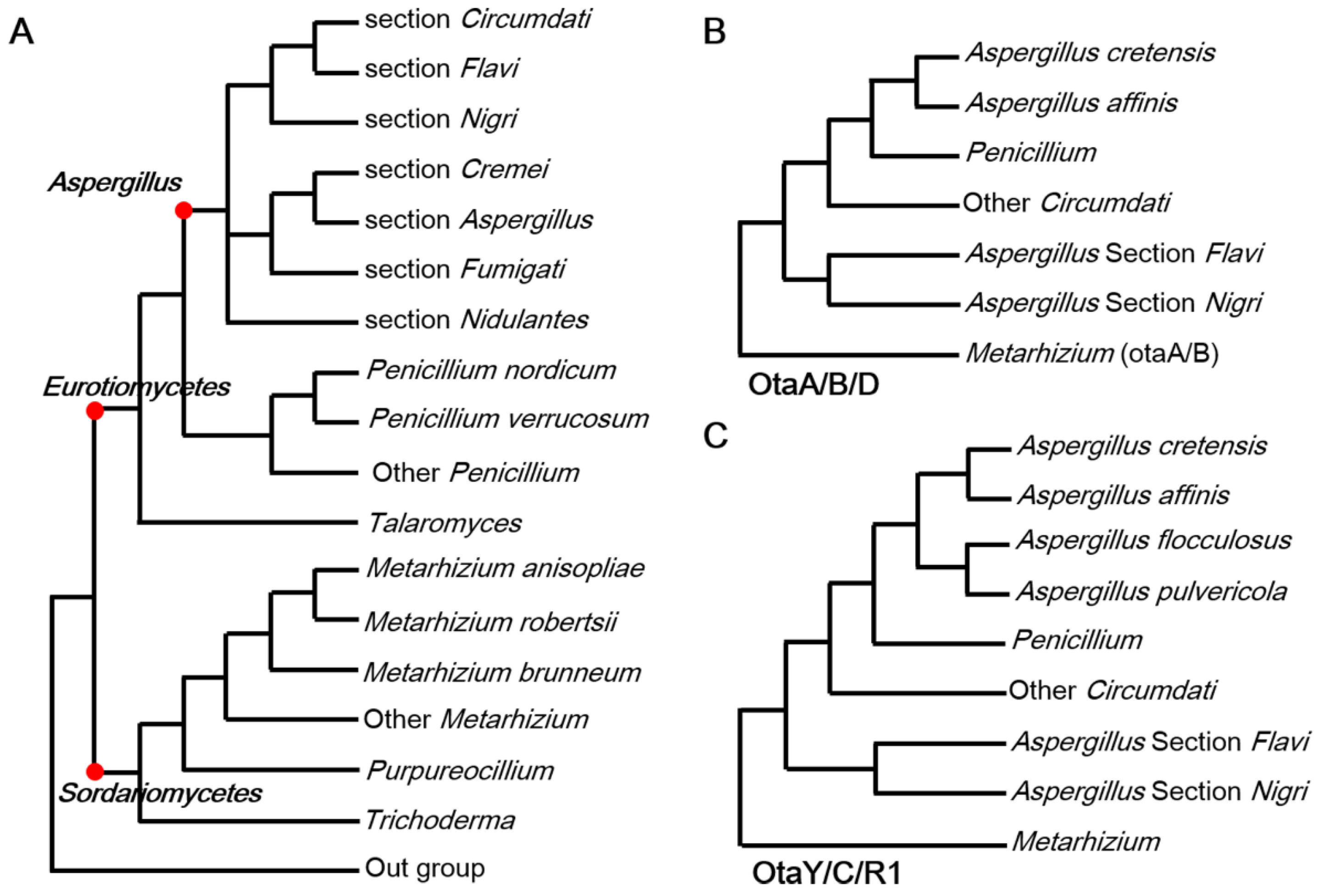 Toxins 17 00311 g002