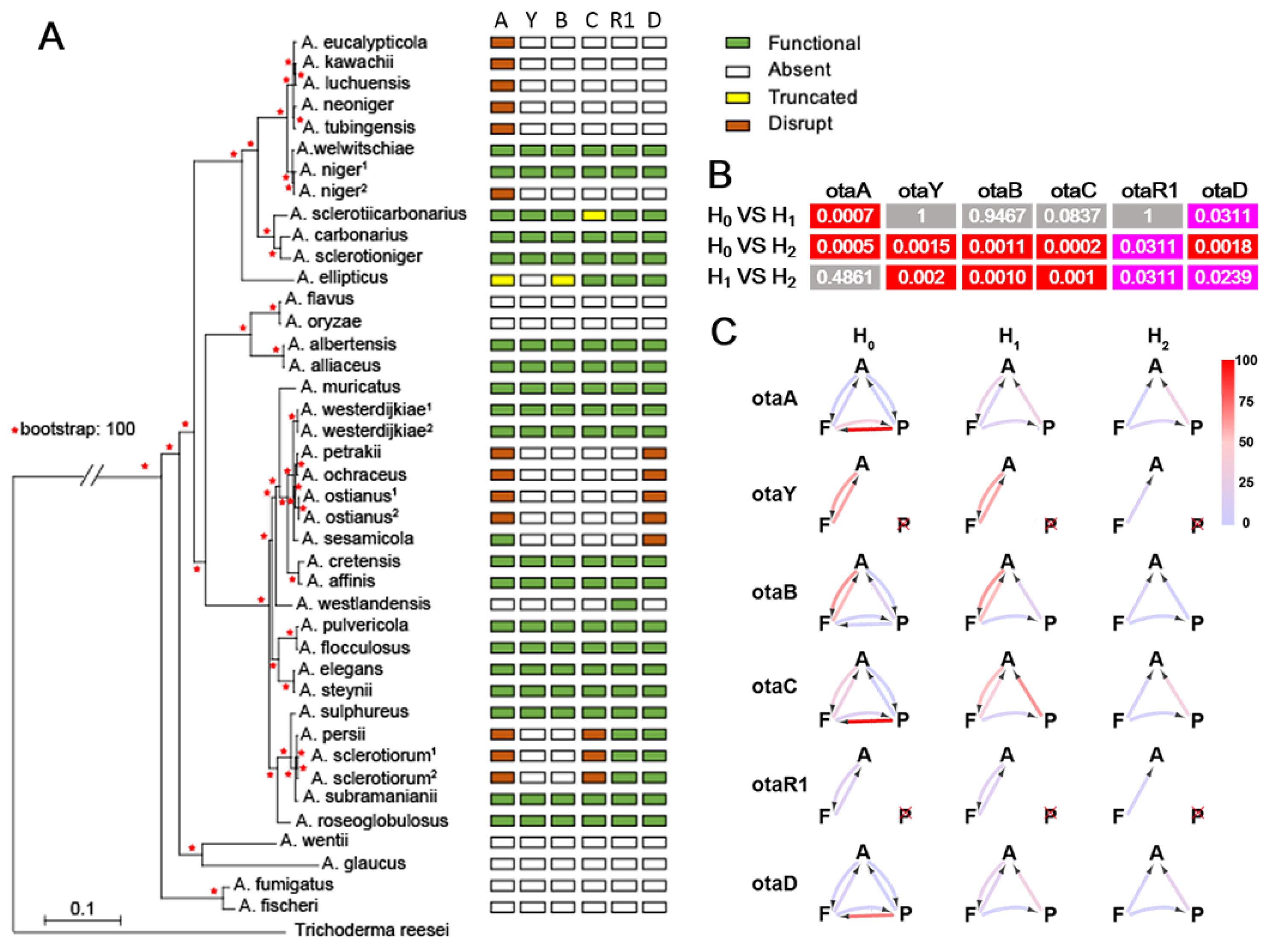 Toxins 17 00311 g004