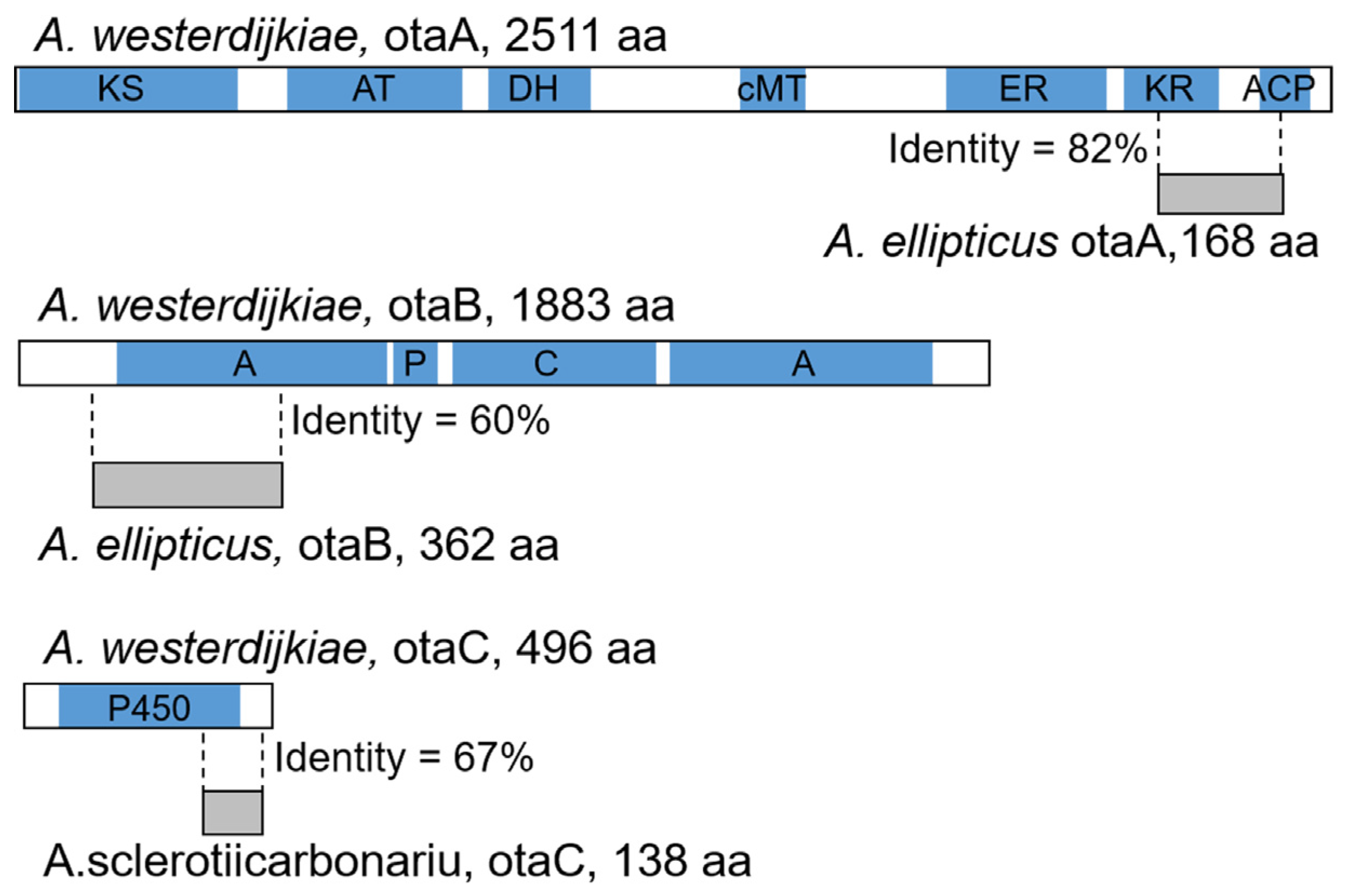 Toxins 17 00311 g005