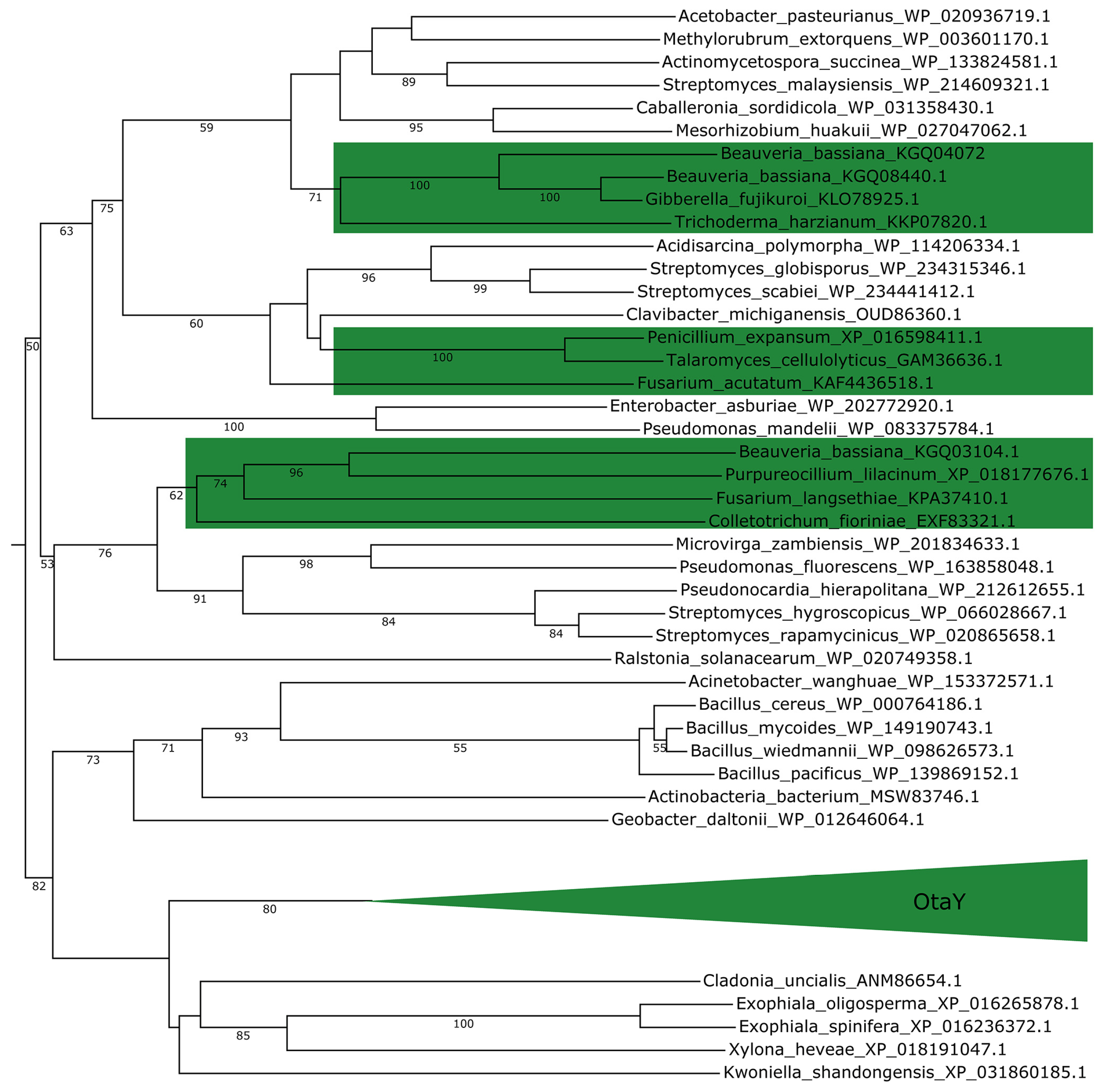 Toxins 17 00311 g008