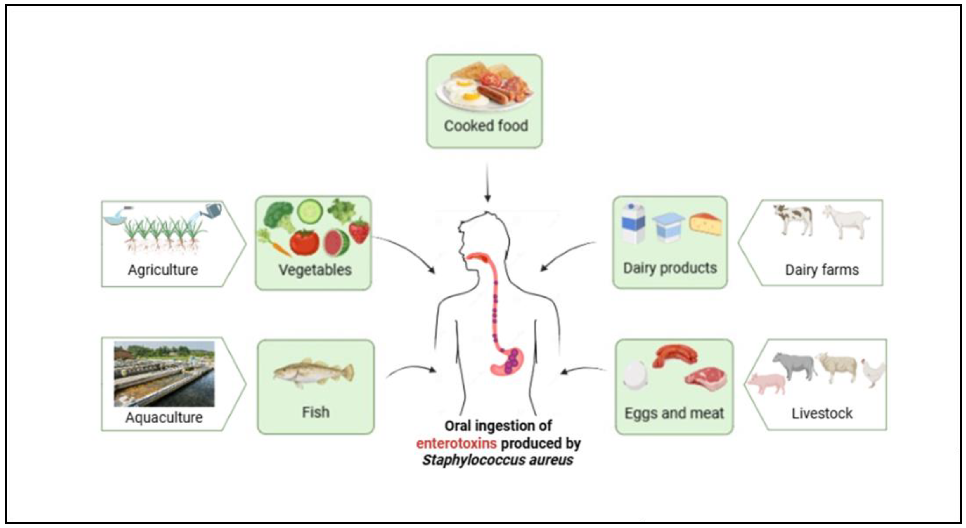 Toxins 17 00319 g001 Toxins 17 00319 g001