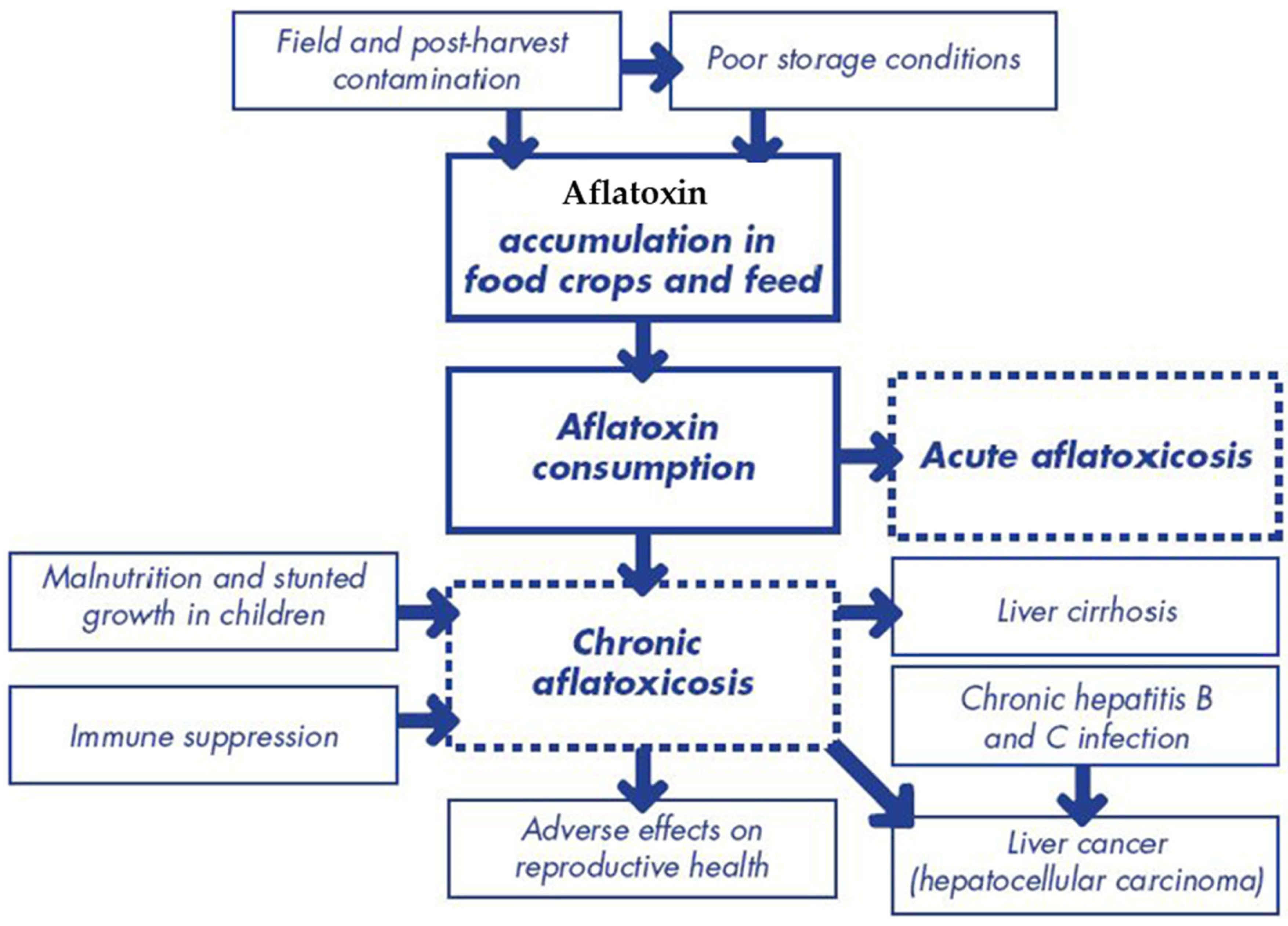 Toxins 17 00331 g005