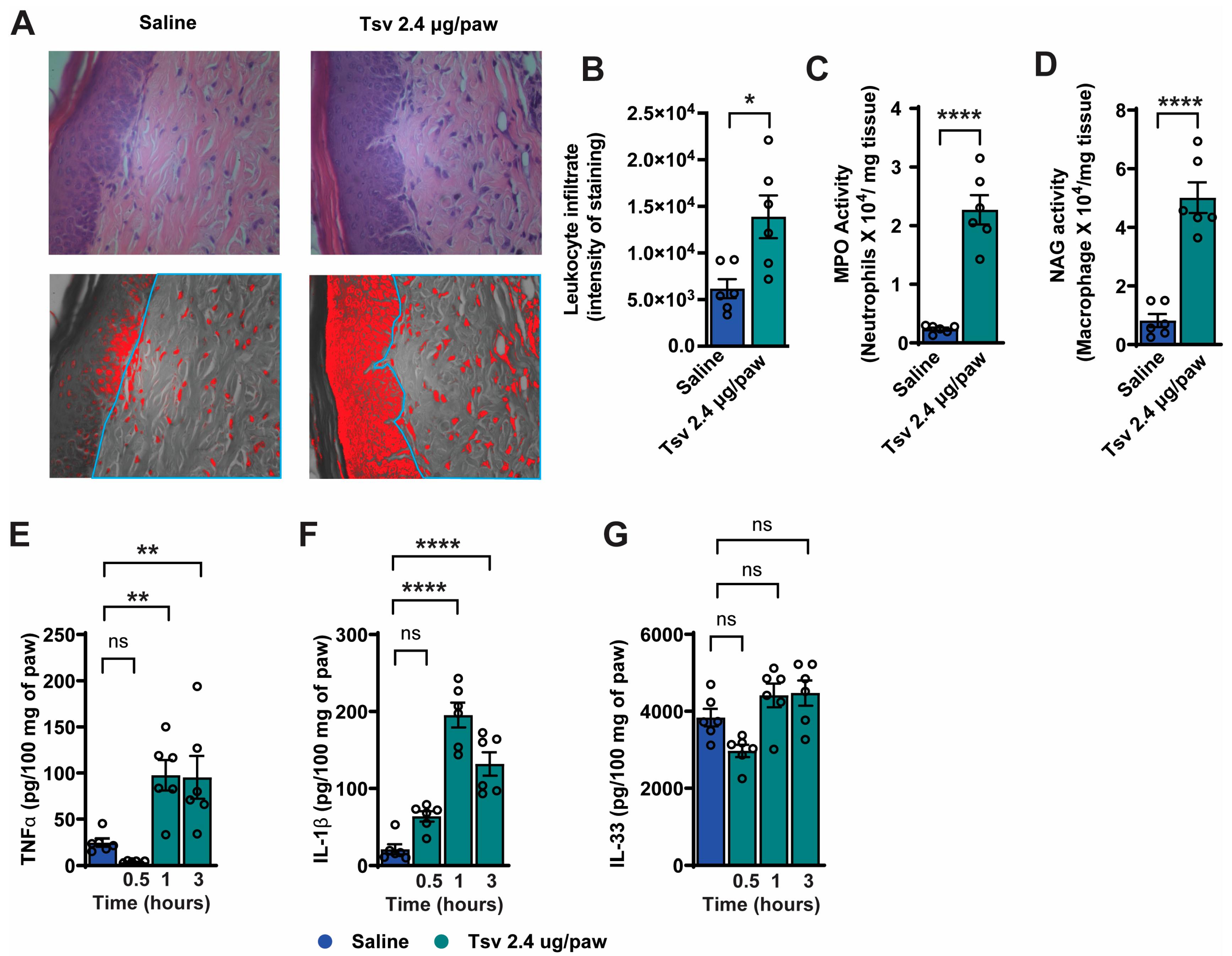 Toxins 17 00332 g002
