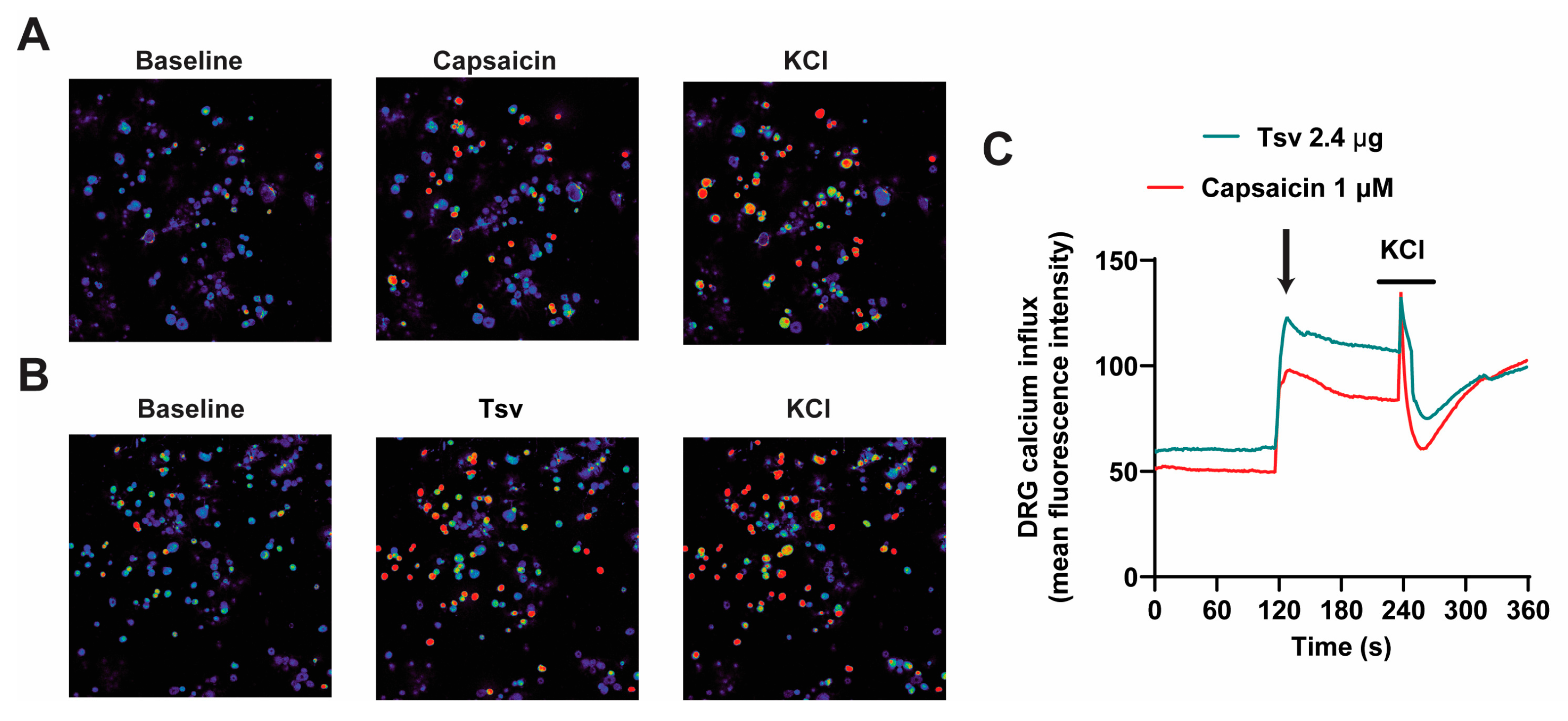 Toxins 17 00332 g005