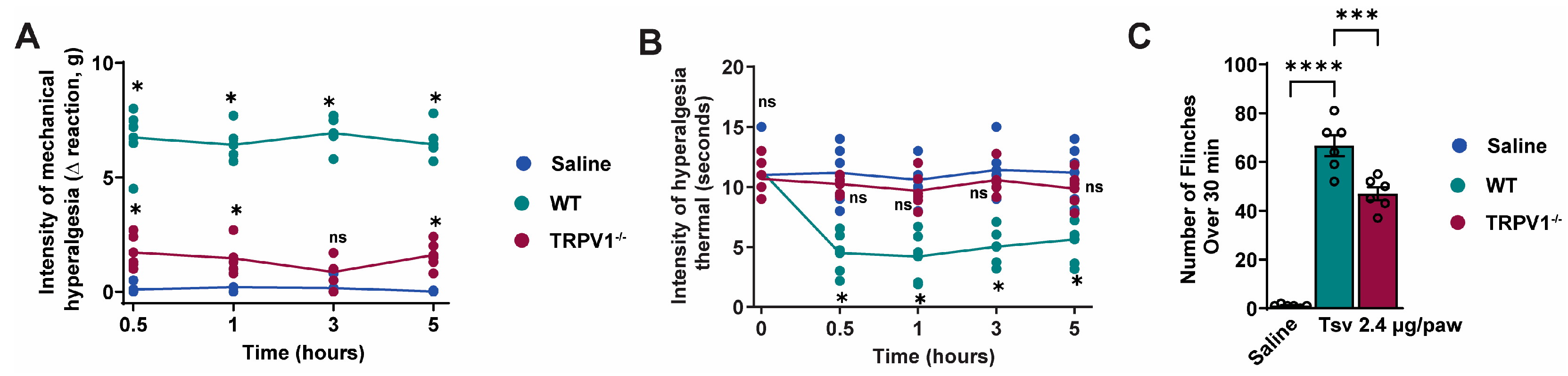 Toxins 17 00332 g006