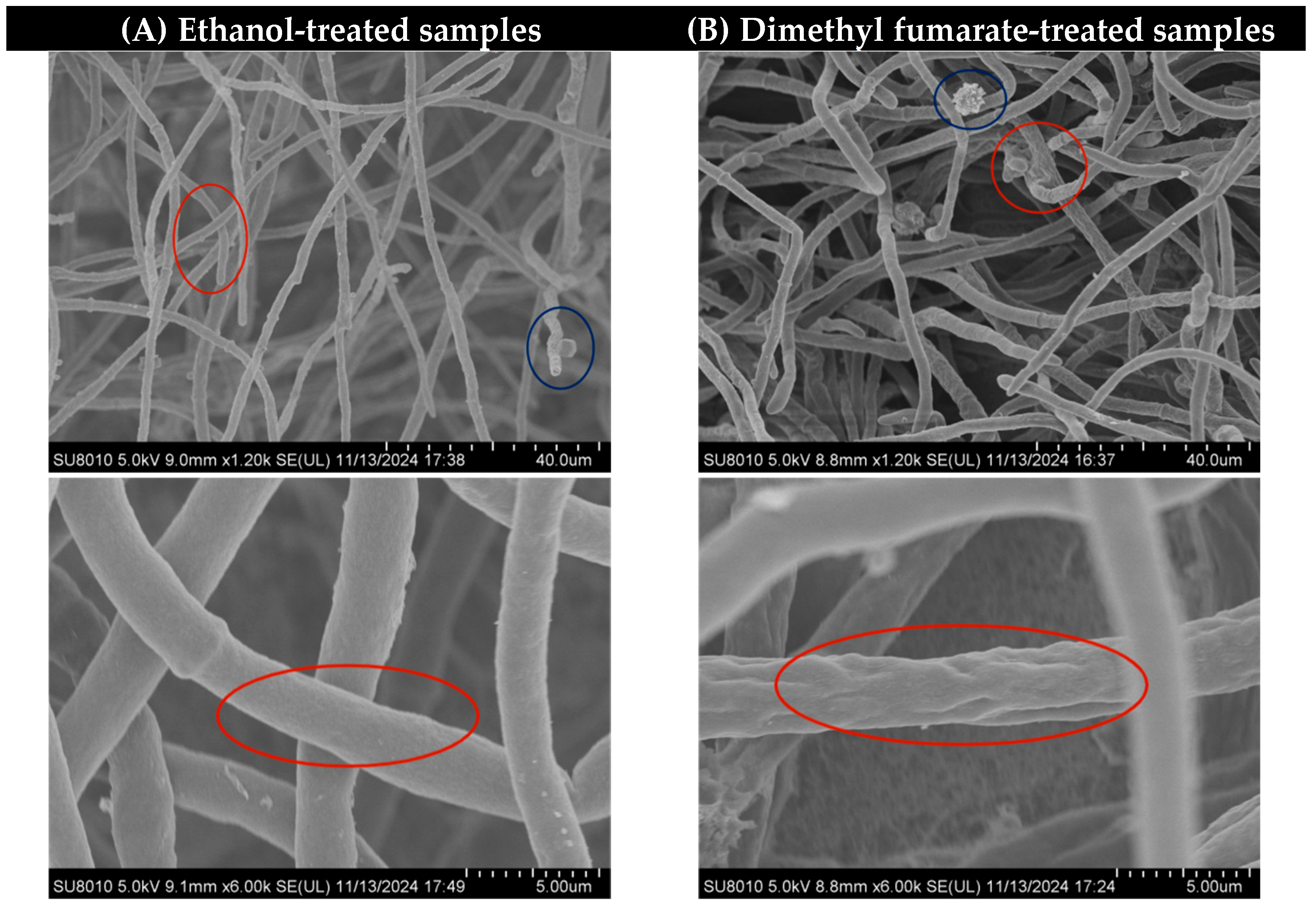 Toxins 17 00339 g002