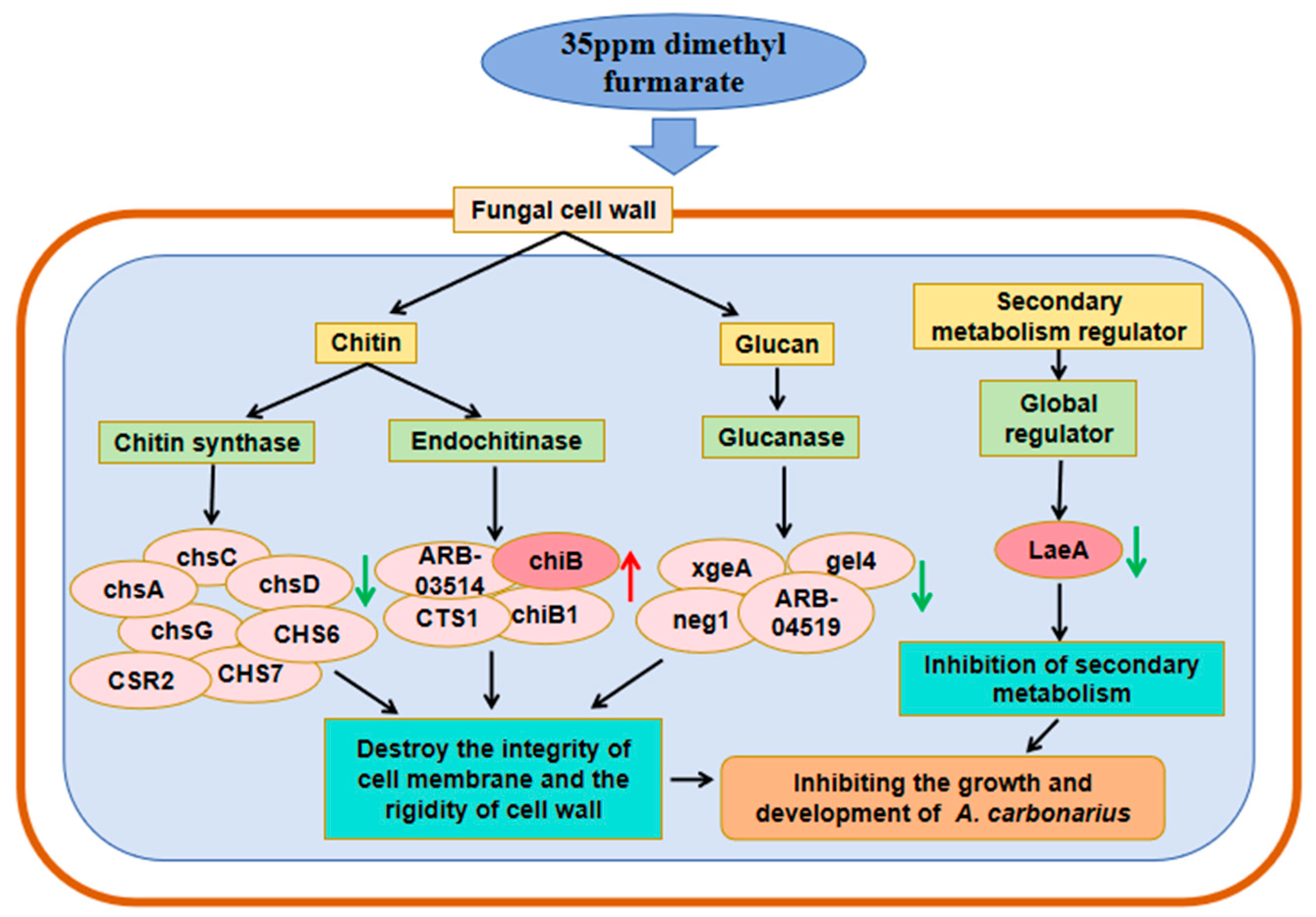 Toxins 17 00339 g007