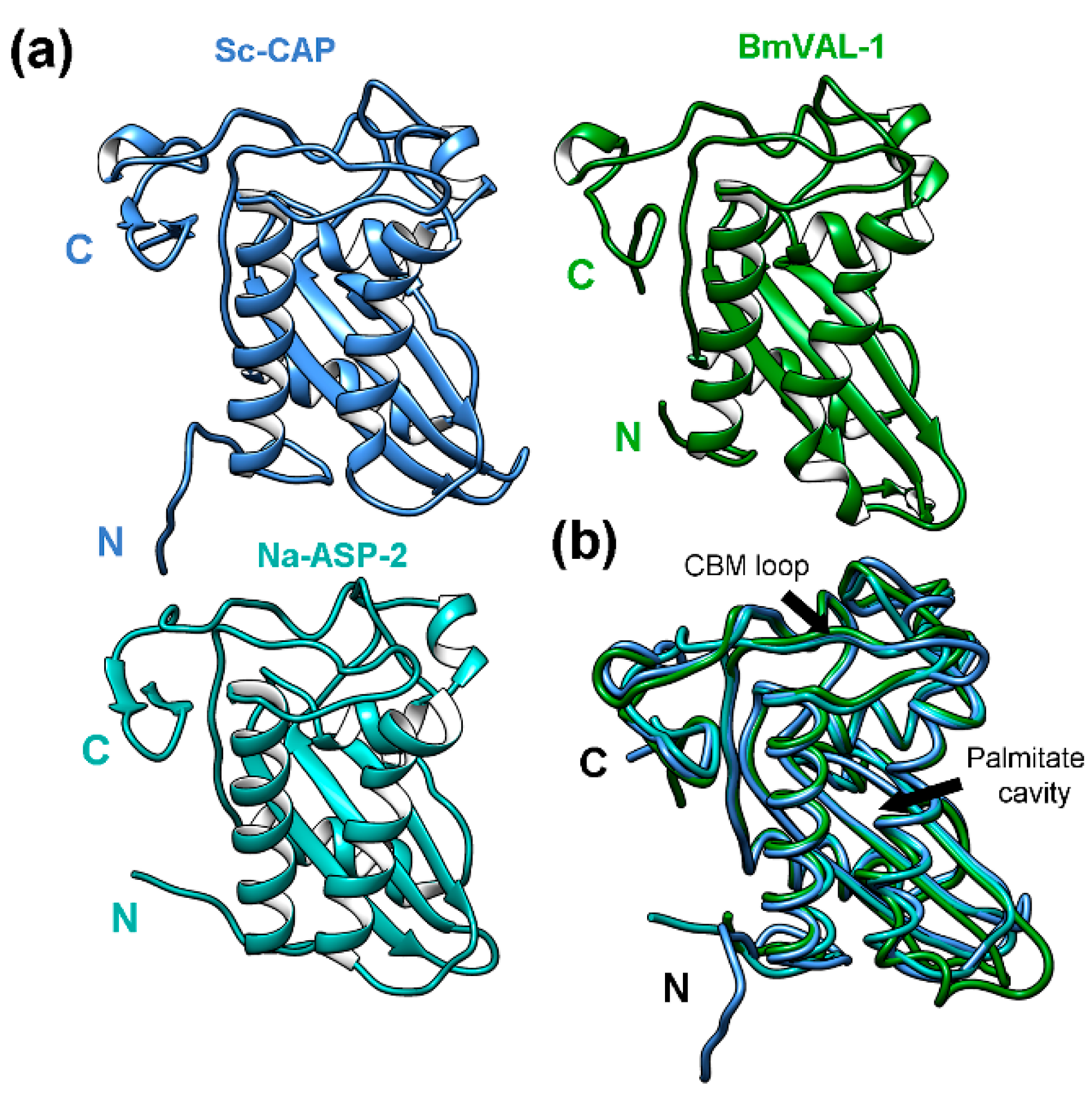 Toxins 17 00342 g003
