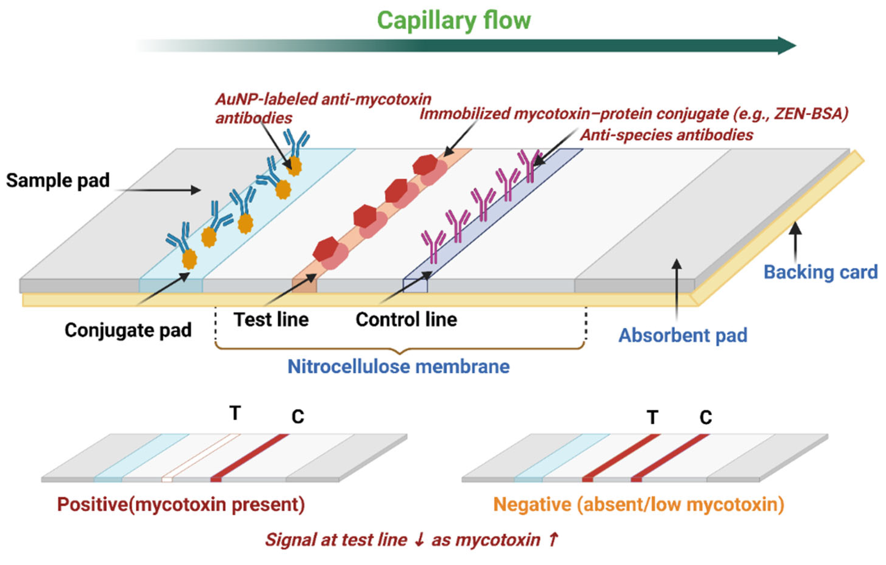 Toxins 17 00348 g001 Toxins 17 00348 g001