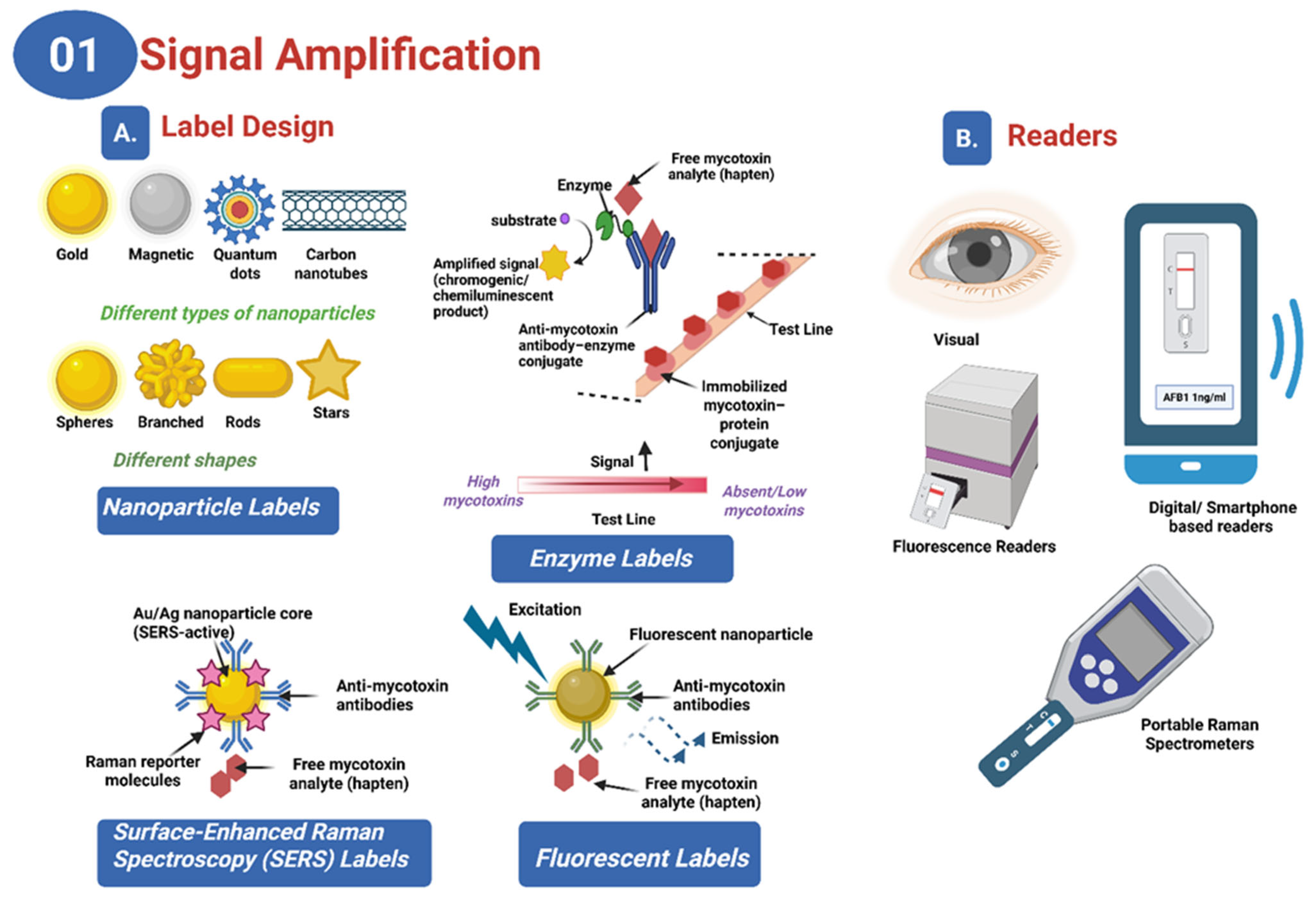 Toxins 17 00348 g002 Toxins 17 00348 g002