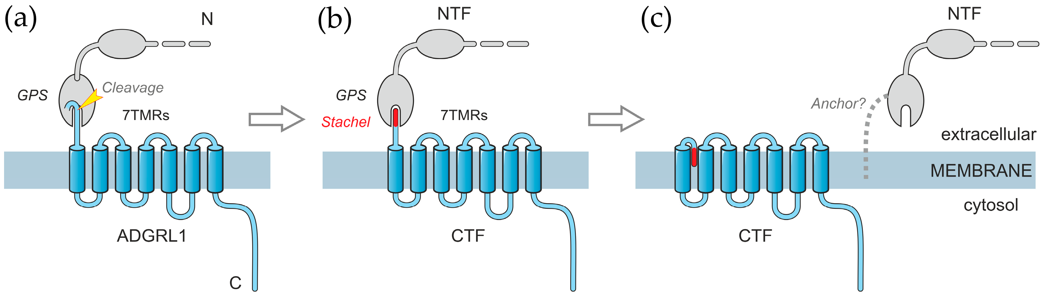 Toxins 17 00359 g001