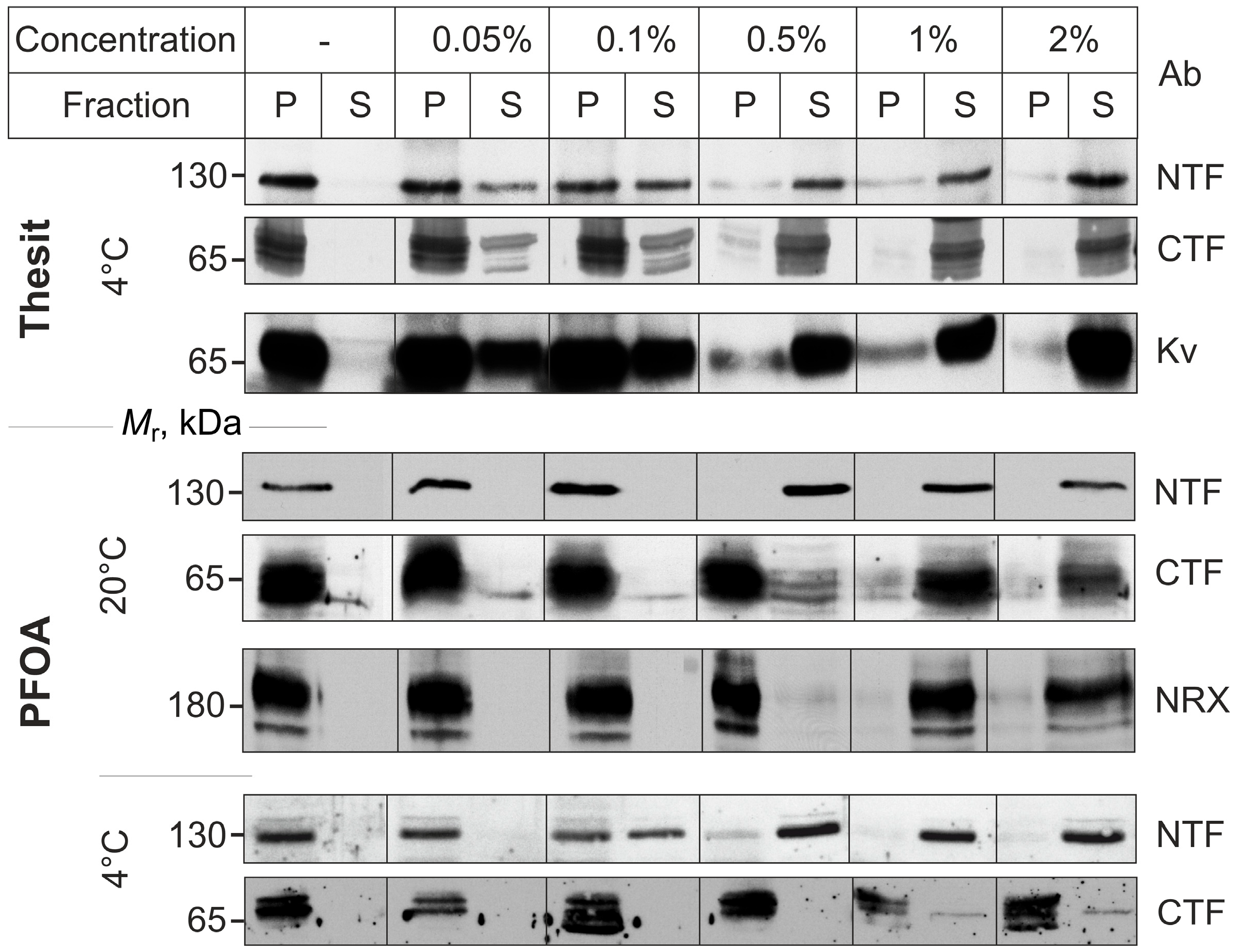 Toxins 17 00359 g002